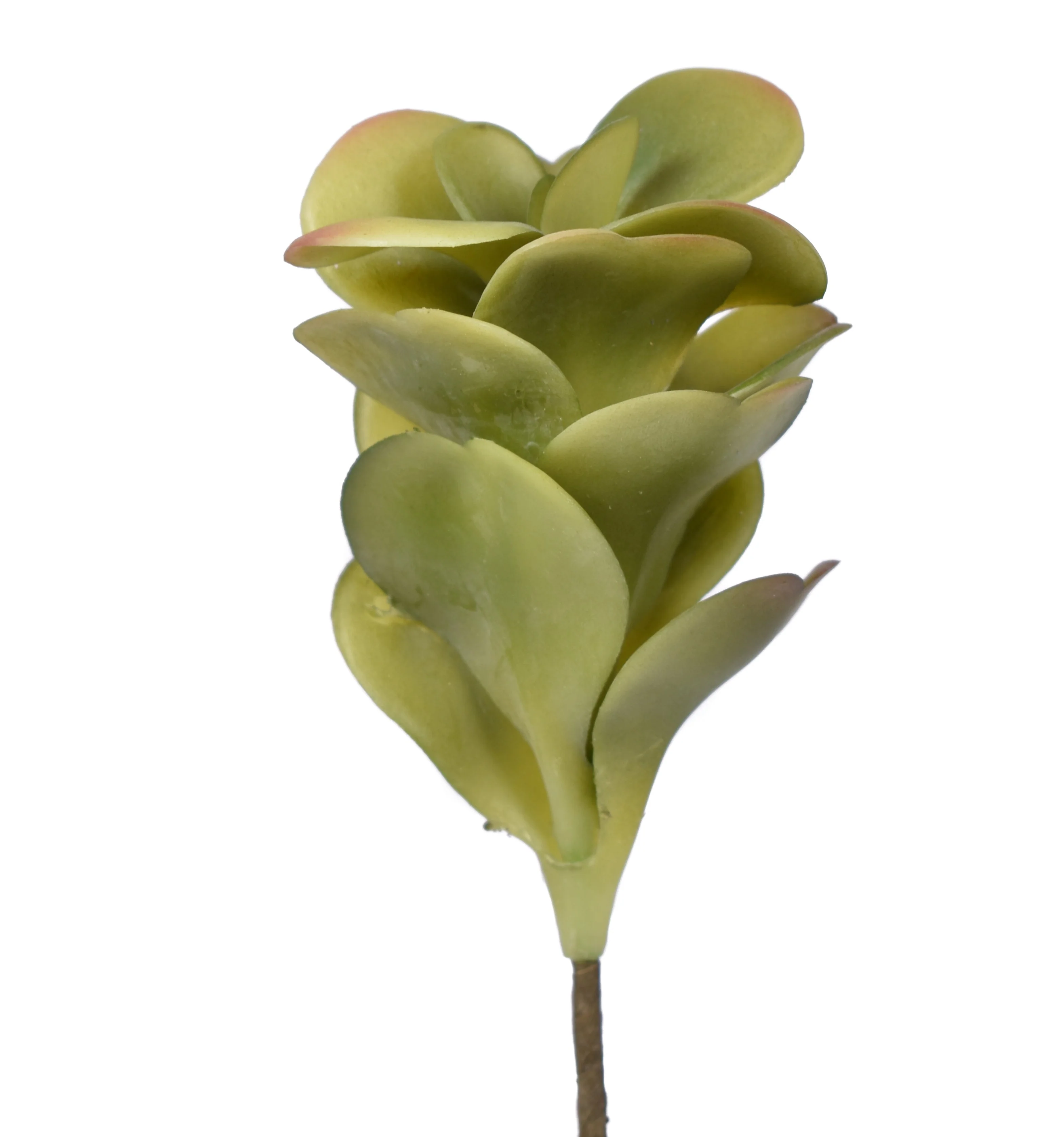 7" Jade Pick - UV Treated JA1008UV