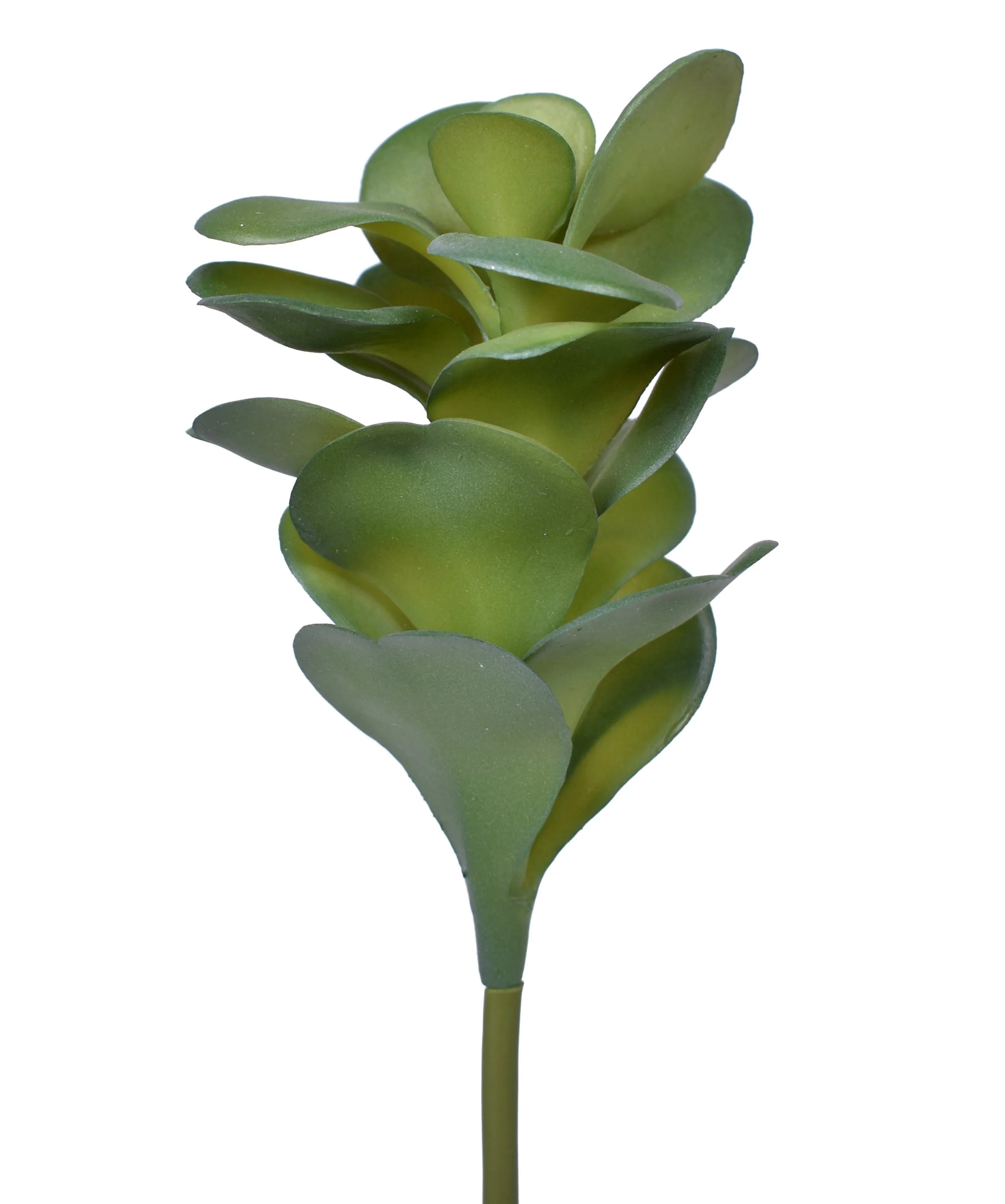 9.5" Jade Pick - UV Treated JA1009UV