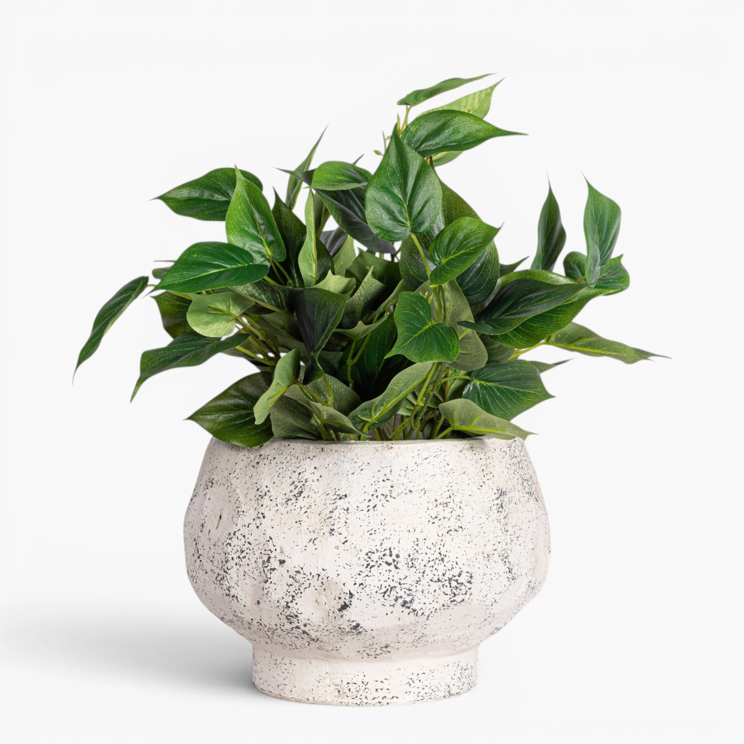 Judy Compote Pot   CN1475 - Image 4