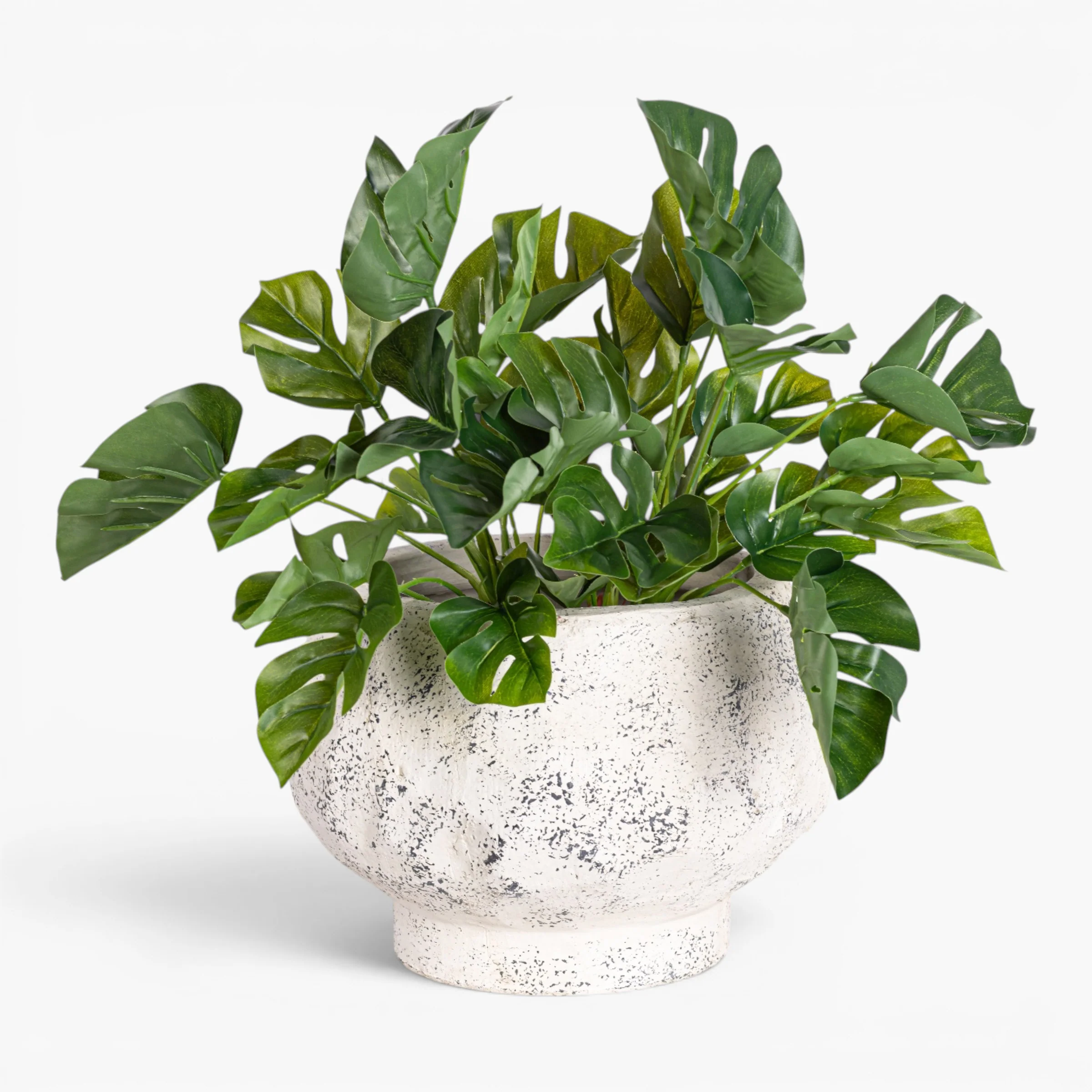 Judy Compote Pot   CN1475 - Image 5