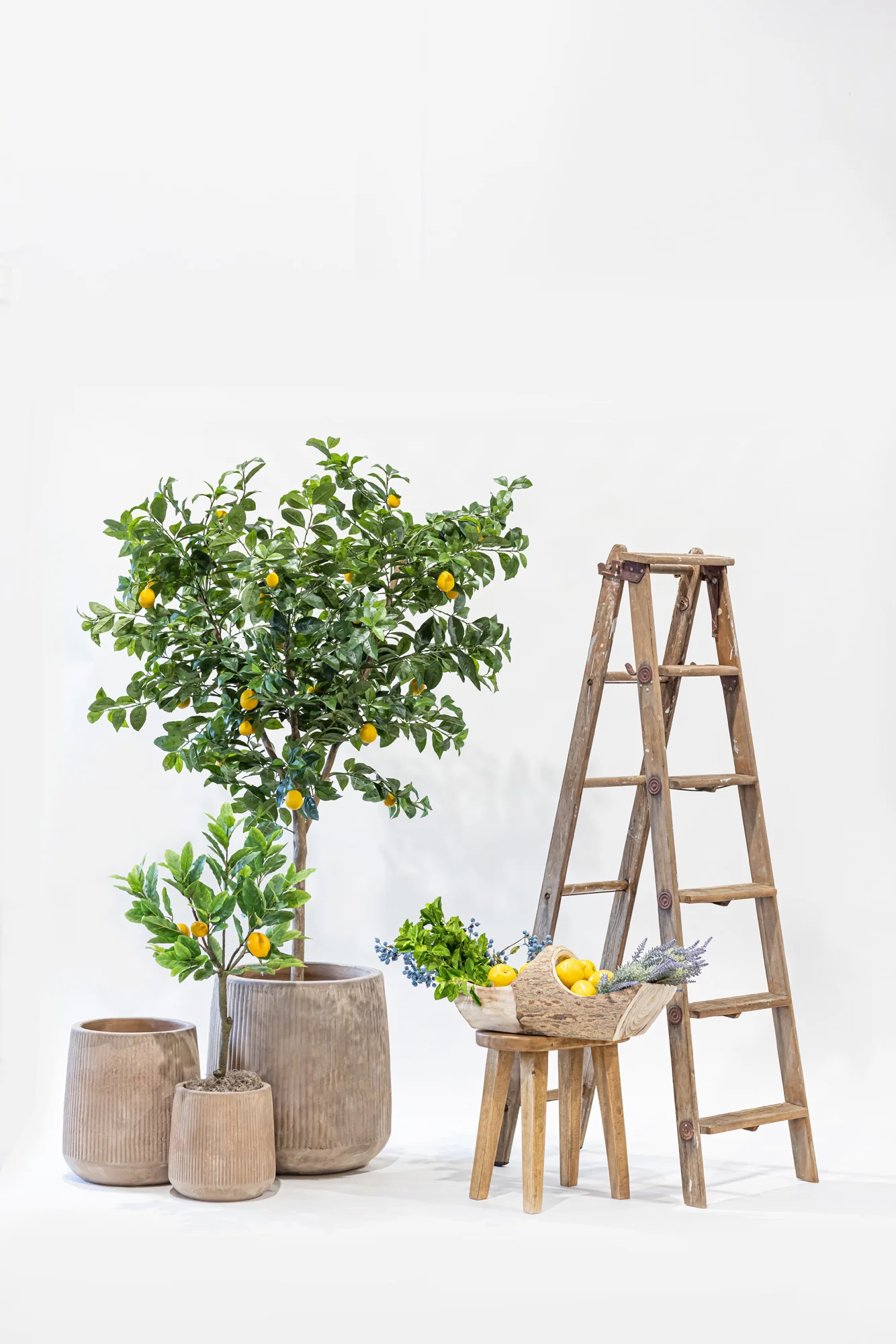 Kaden Terracotta Planter CN1308 - Image 3