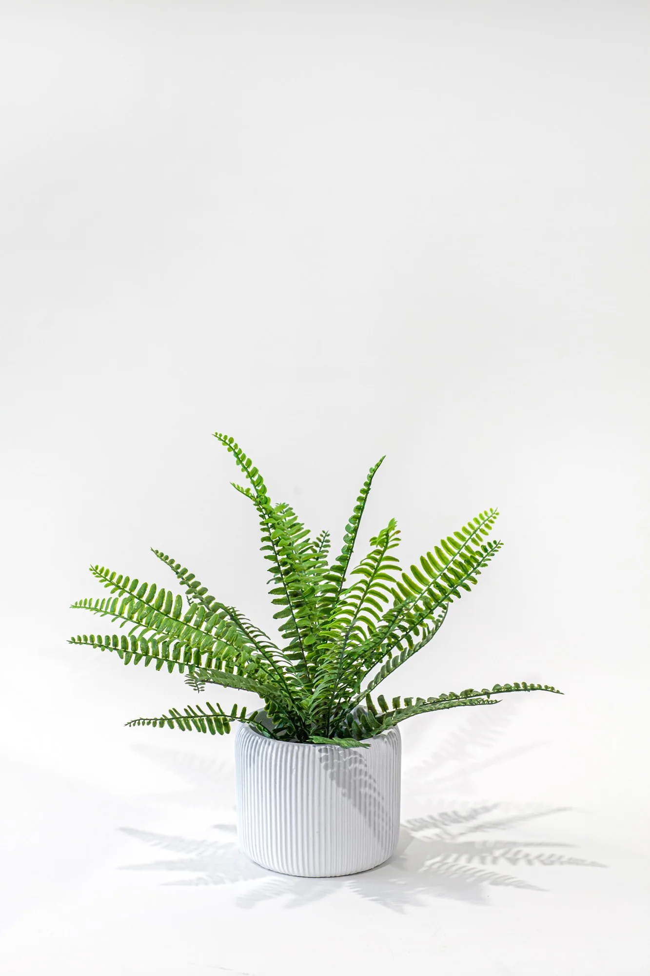 Lola Pot   CN1353 - Image 4