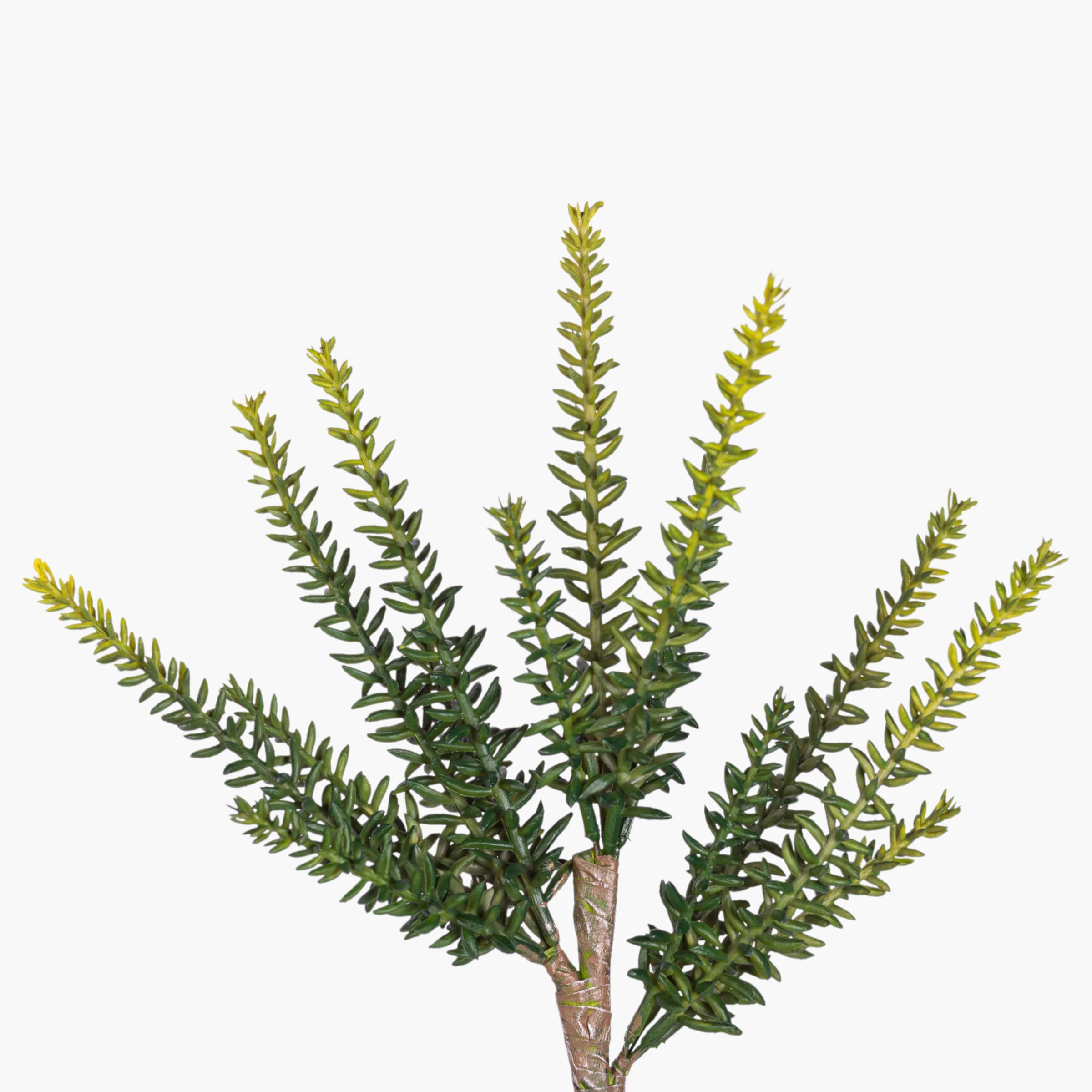 11.5” Multi-Head Succulent Stem MH1039 - Image 2