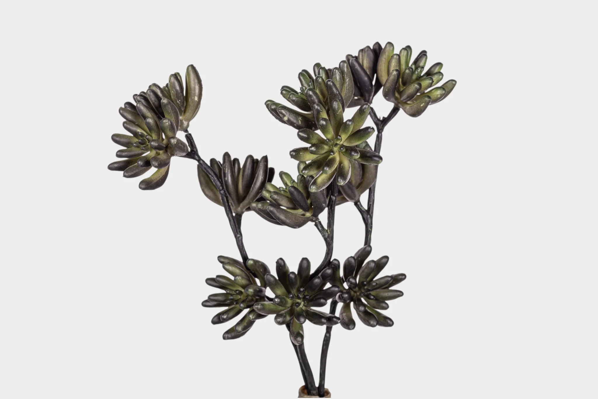11" Multi-Head Succulent Stem MH1041 - Image 2