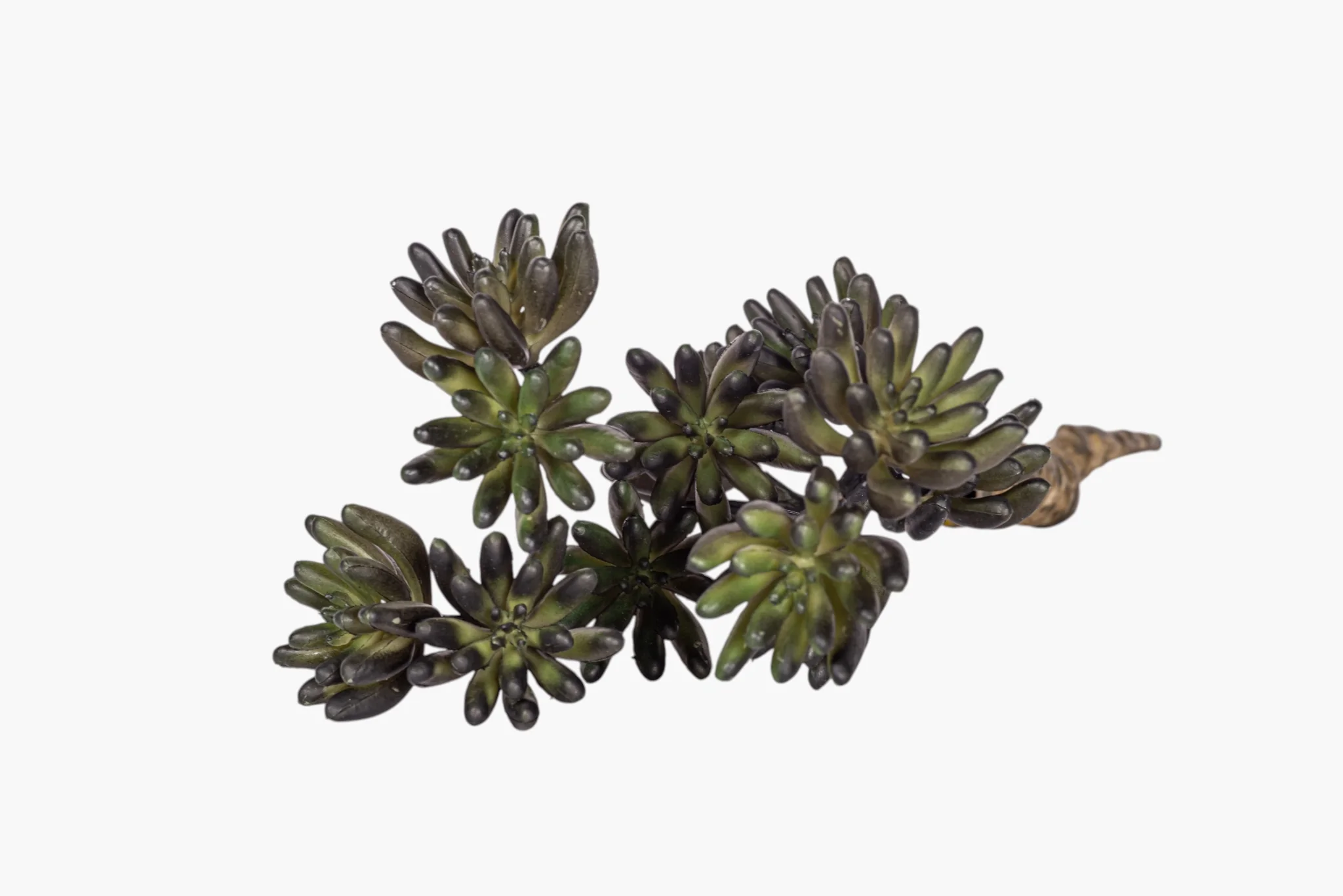 11" Multi-Head Succulent Stem MH1041 - Image 3