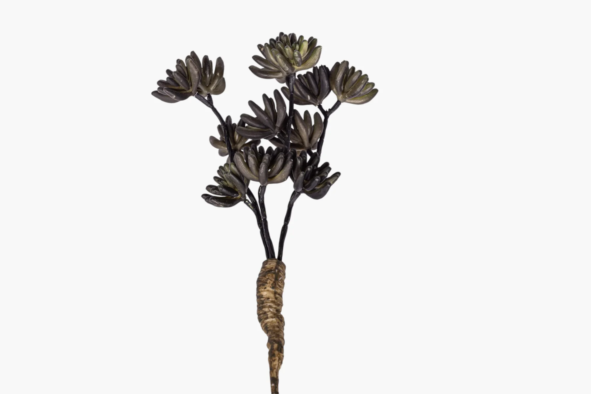 11" Multi-Head Succulent Stem MH1041 - Image 4