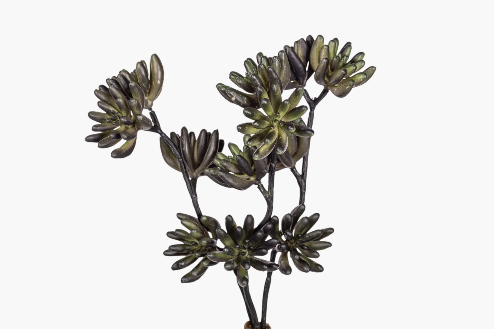 11" Multi-Head Succulent Stem MH1041 - Image 5