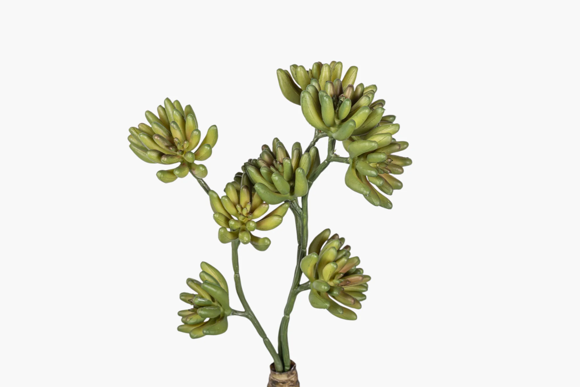 11" Multi-Head Succulent Stem MH1042 - Image 2