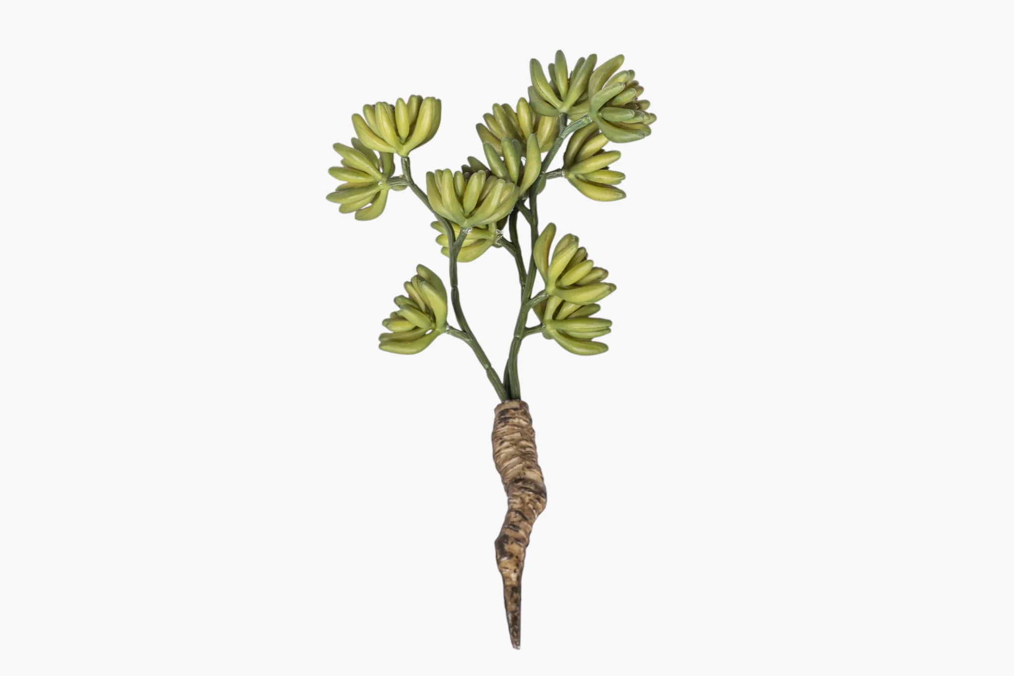 11" Multi-Head Succulent Stem MH1042 - Image 3