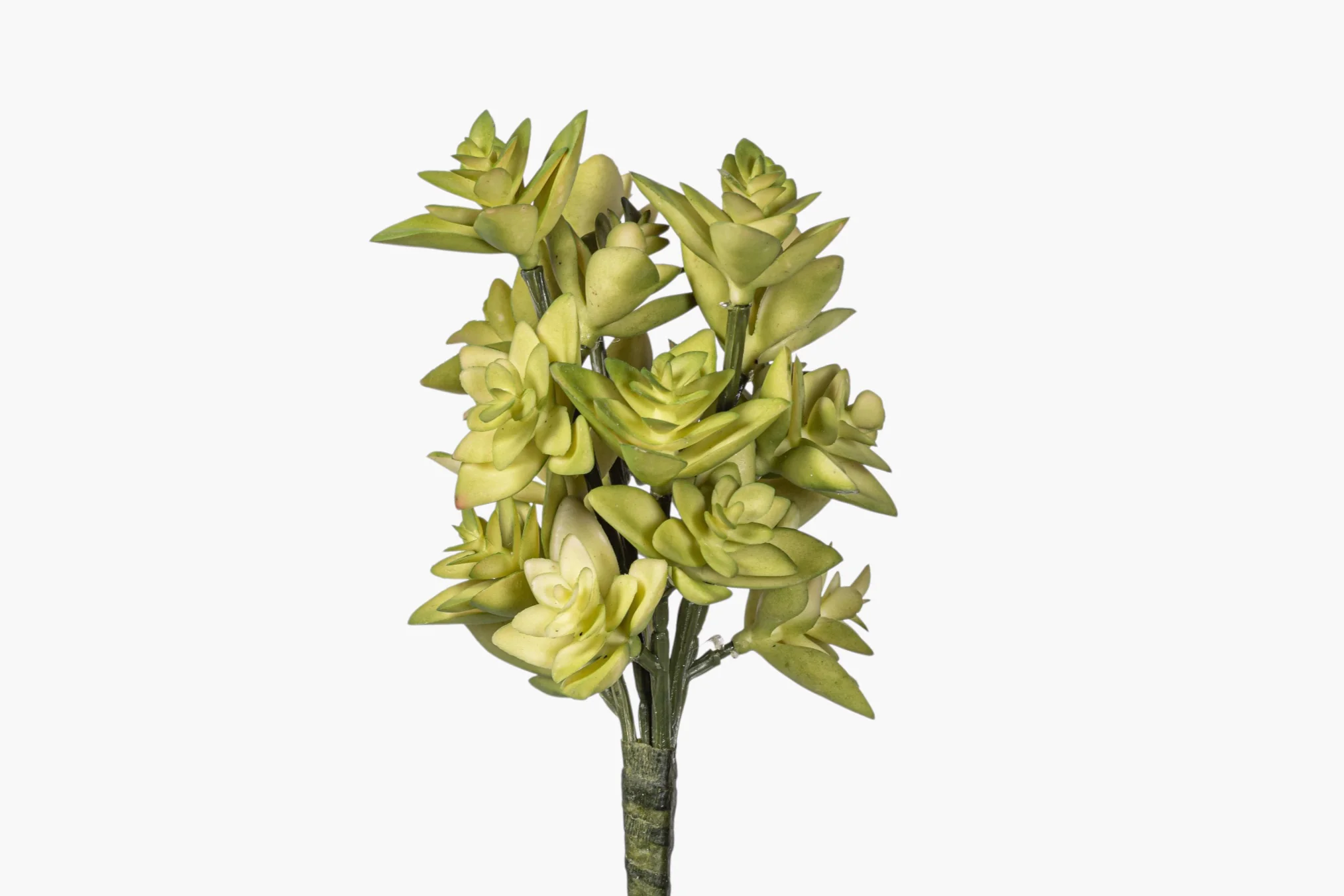 8" Multi-Head Succulent Stem MH1043 - Image 2