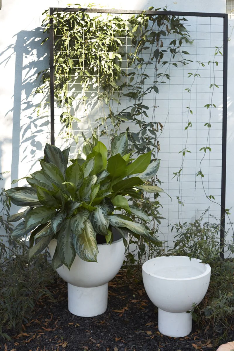 Michael Planter Collection - White Fiberglass   CN1271 - Image 3