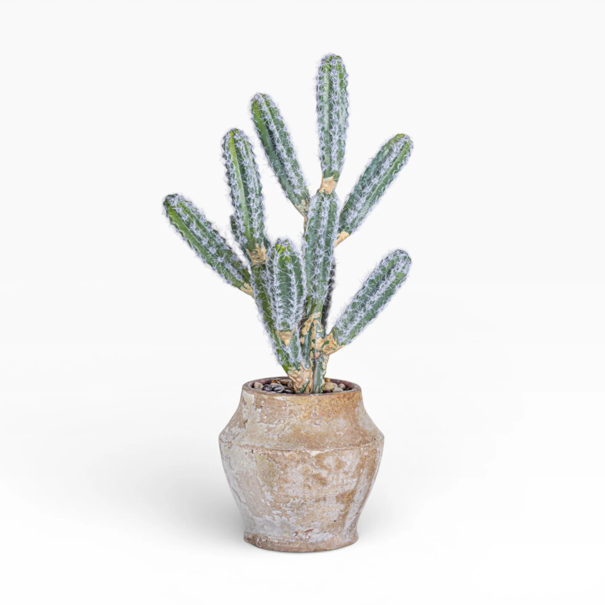 Mila Pot with Cactus Arrangement AR1894