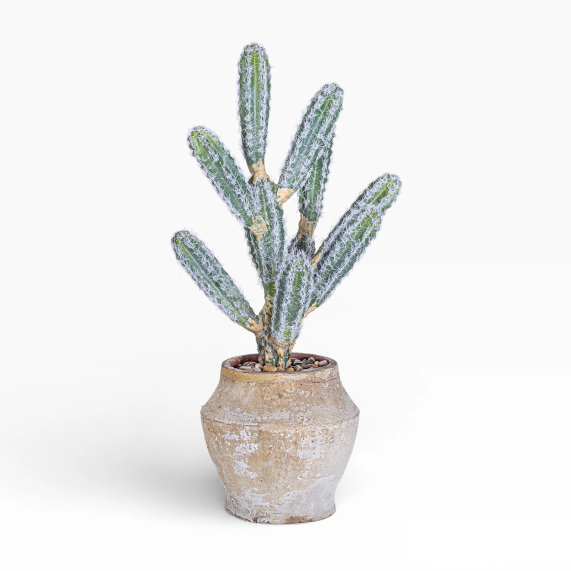 Mila Pot with Cactus Arrangement AR1894 - Image 2