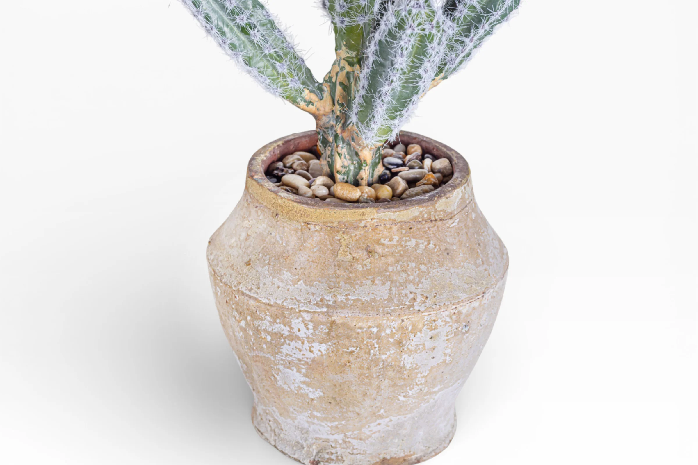 Mila Pot with Cactus Arrangement AR1894 - Image 3