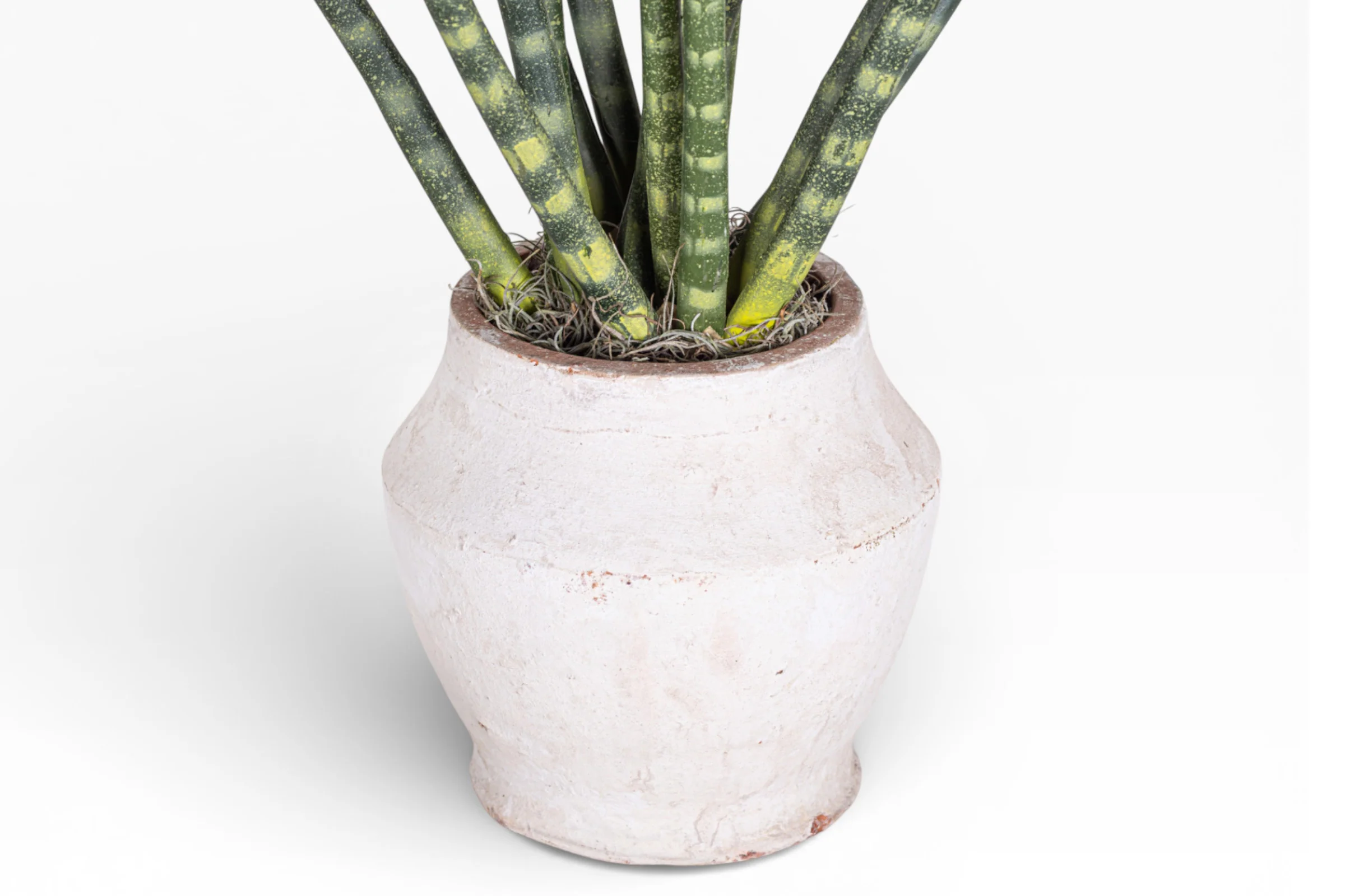 Mila Pot with Snake Grass Arrangement AR1896 - Image 2