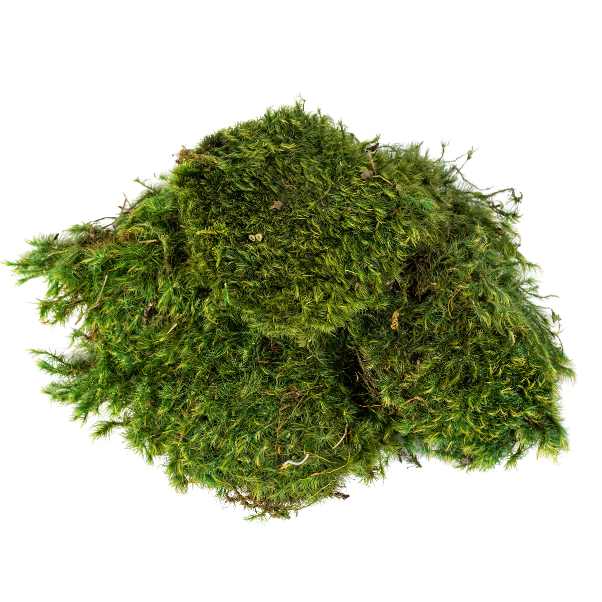 “Basketizing” - Foam with Rock or Moss Covering - 15-20"H - Image 8