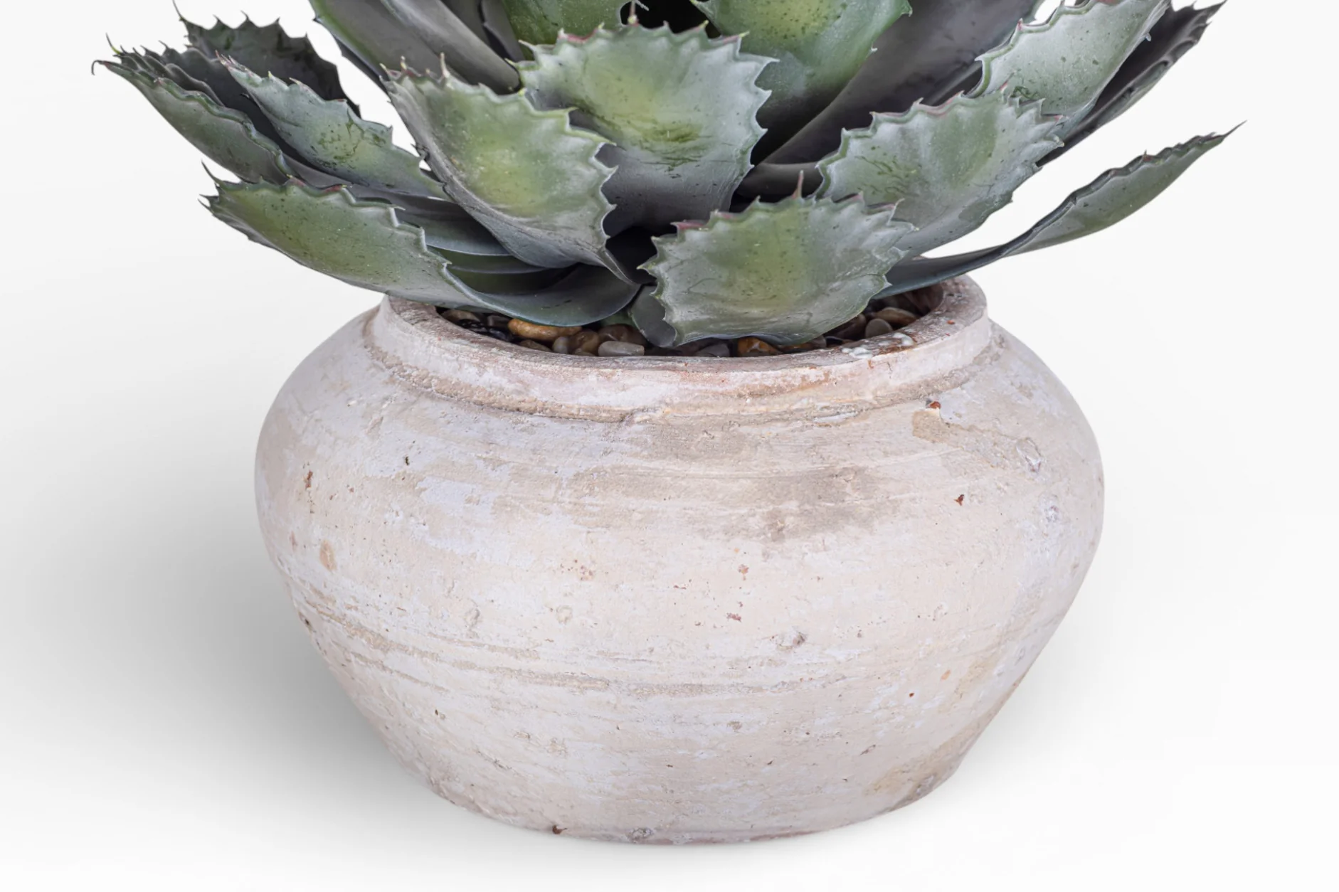 8" Esther Pot with Succulent Arrangement AR1407 - Image 2