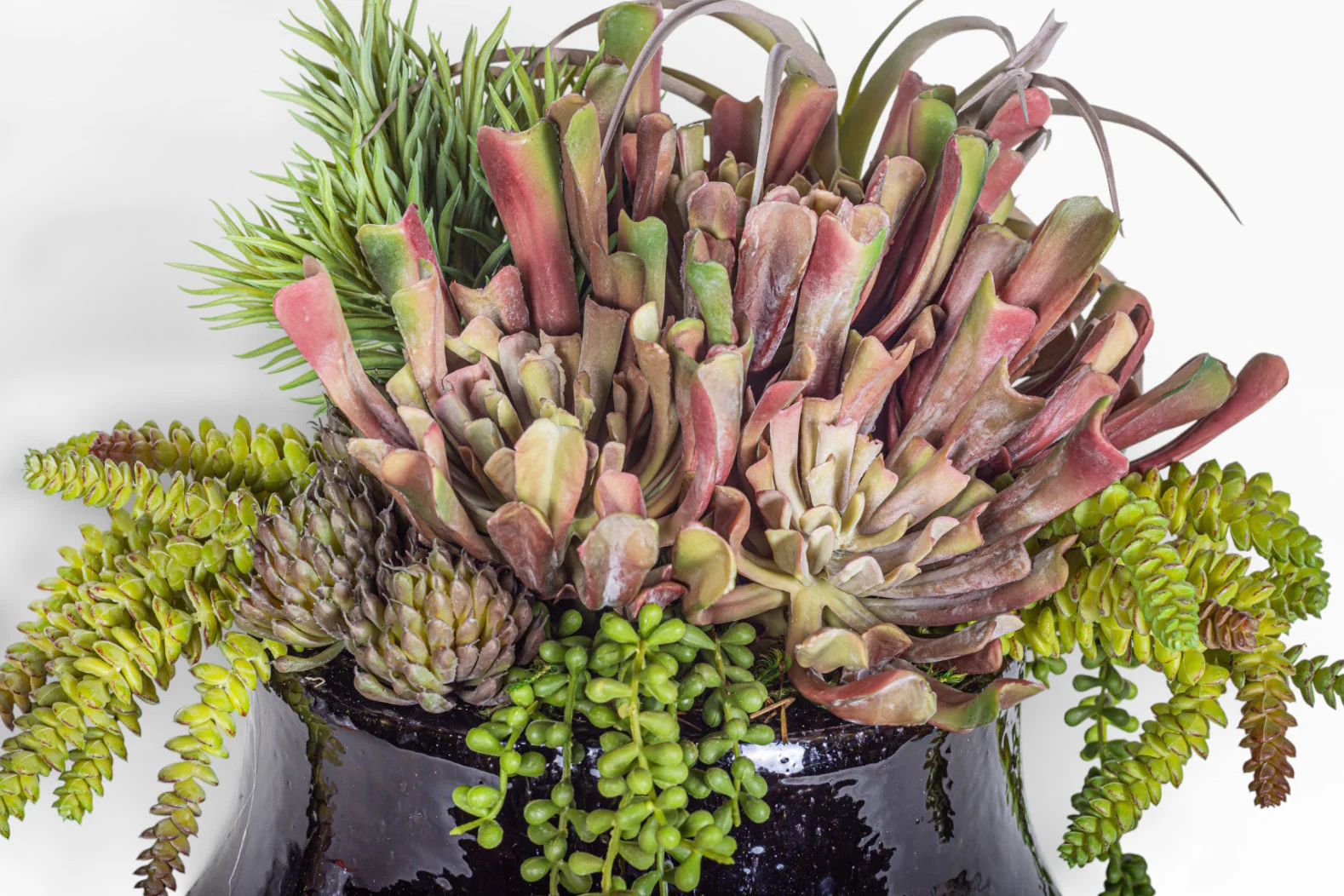 Tulip Planter with Mixed Succulent Arrangement AR1422 - Image 2