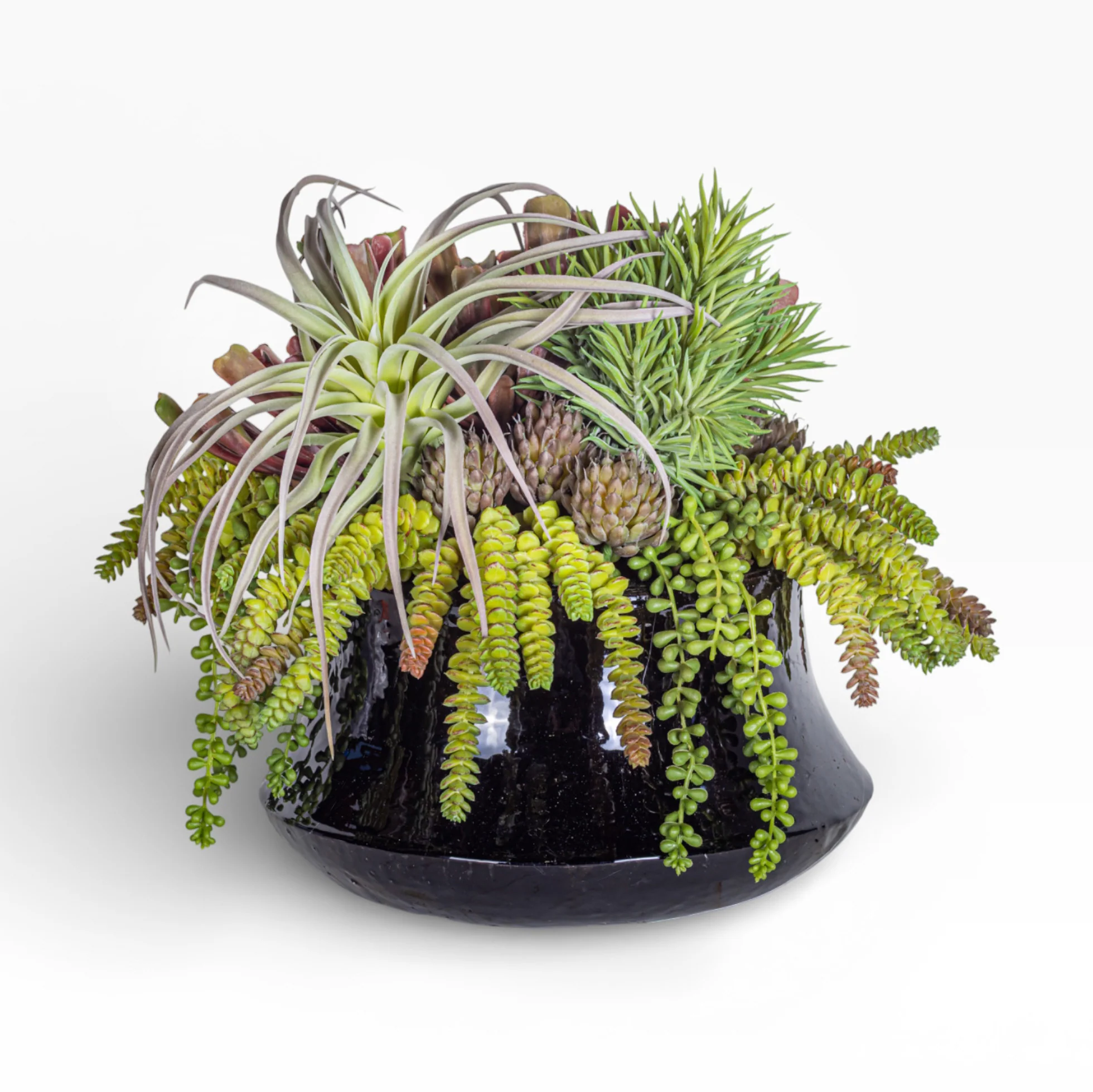 Tulip Planter with Mixed Succulent Arrangement AR1422 - Image 3