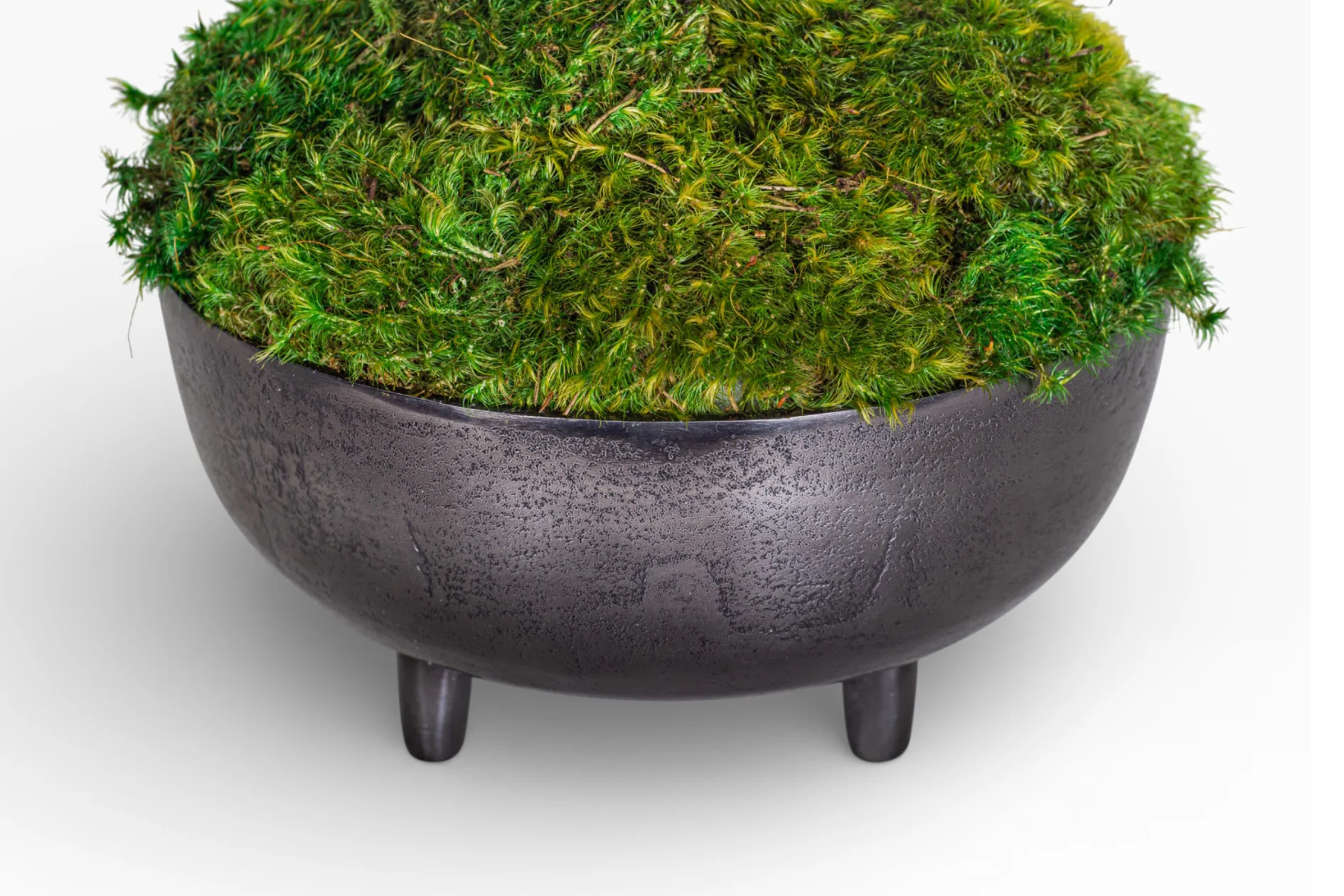 10" Ryder Bowl with Mood Moss Arrangement AR1423 - Image 2