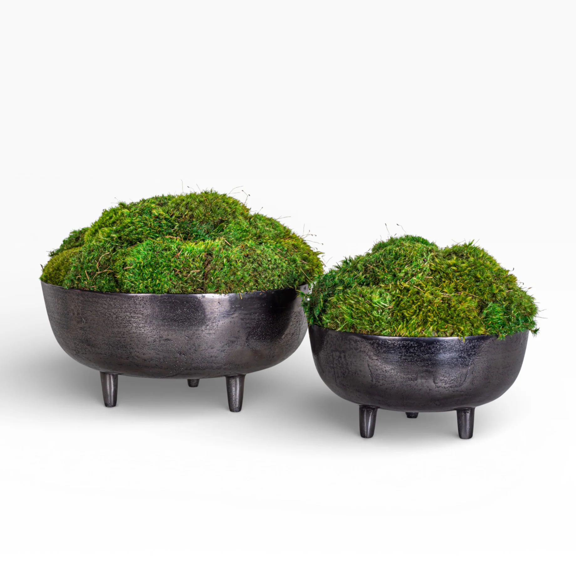 10" Ryder Bowl with Mood Moss Arrangement AR1423 - Image 3