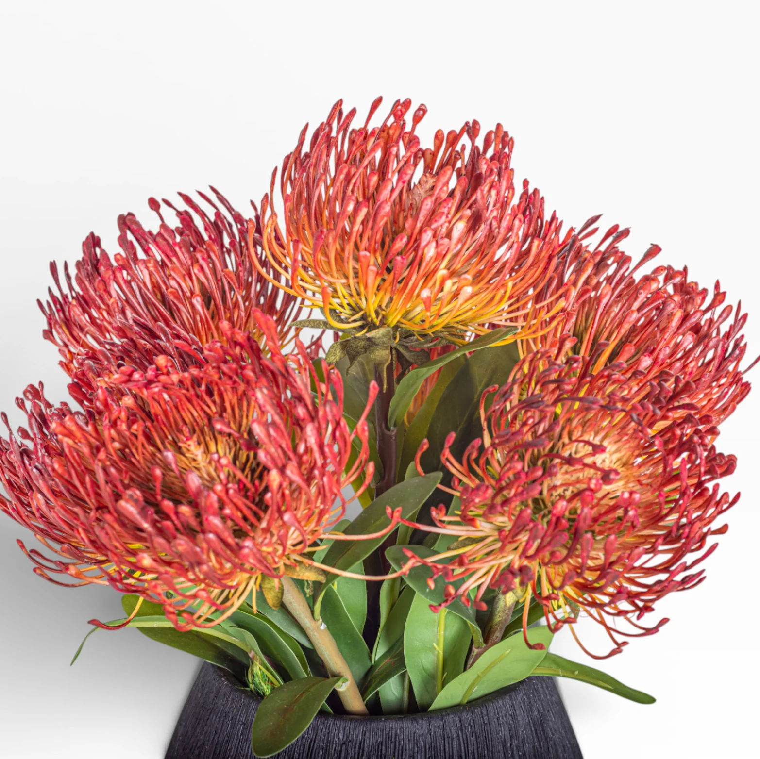 7.5" Ava Pot with Protea Arrangement AR1437 - Image 3