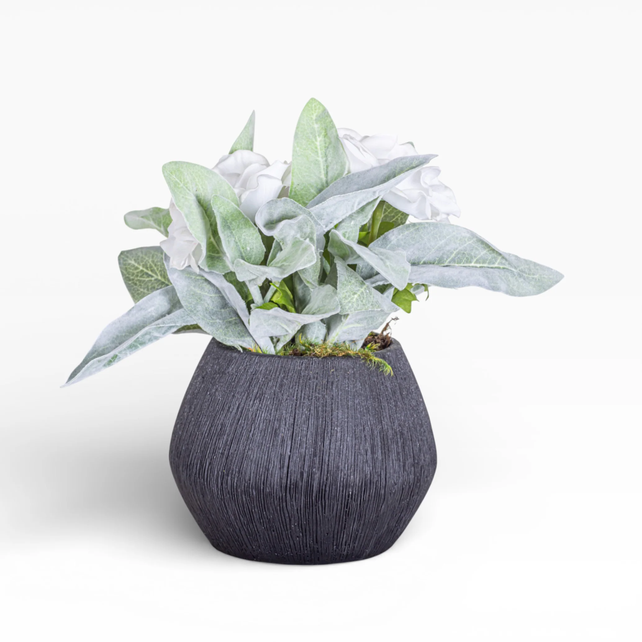 6" Ava Pot with Anemone Floral Arrangement AR1448 - Image 3