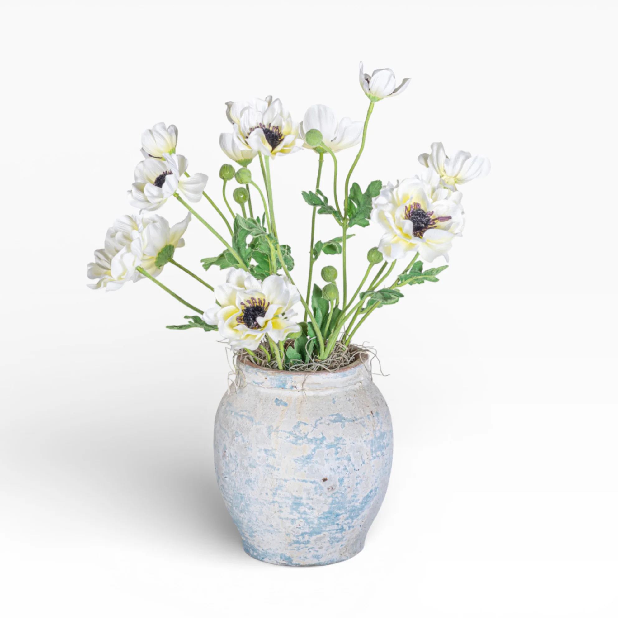 Lyric Pot with Anemone Floral Arrangment AR1451