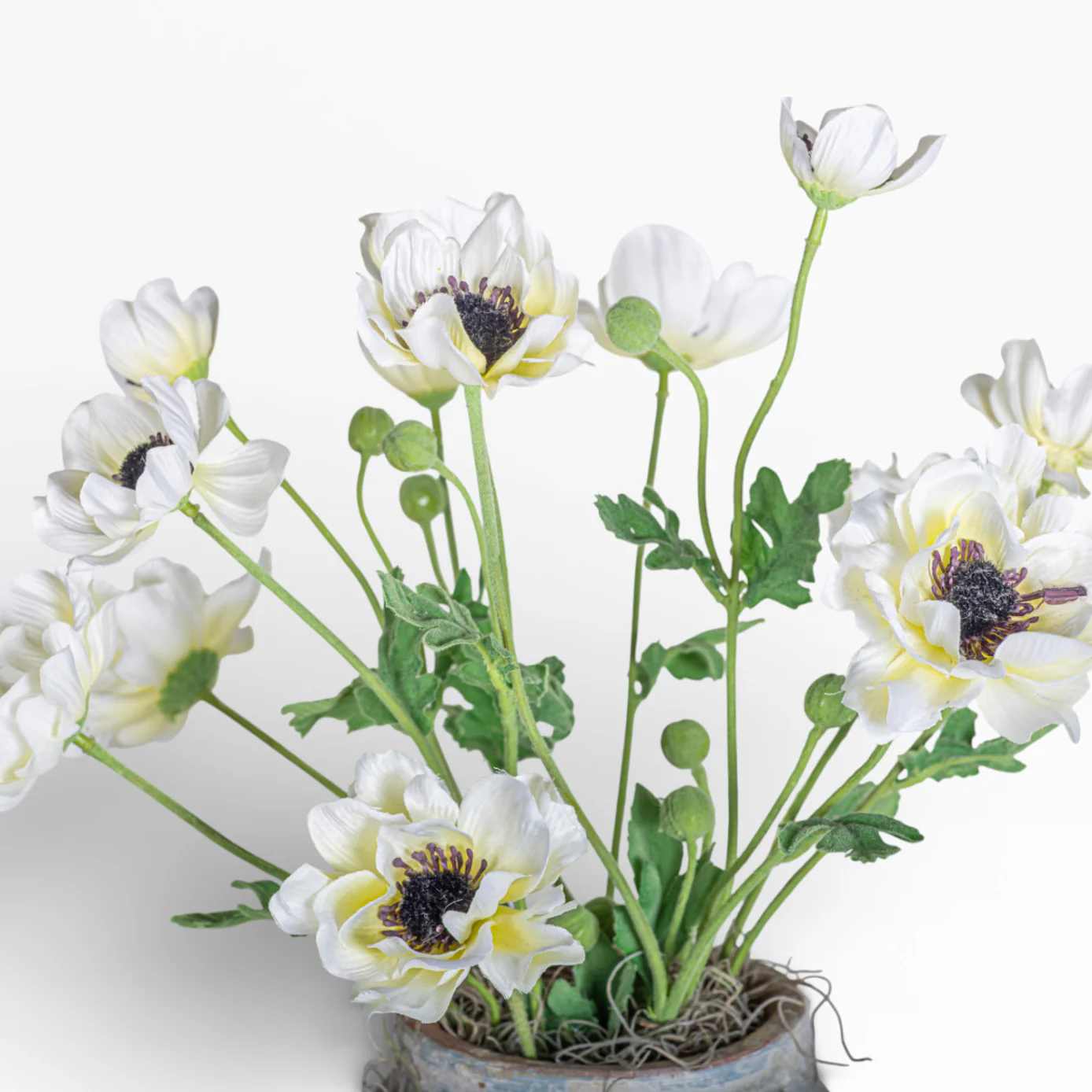 Lyric Pot with Anemone Floral Arrangment AR1451 - Image 2