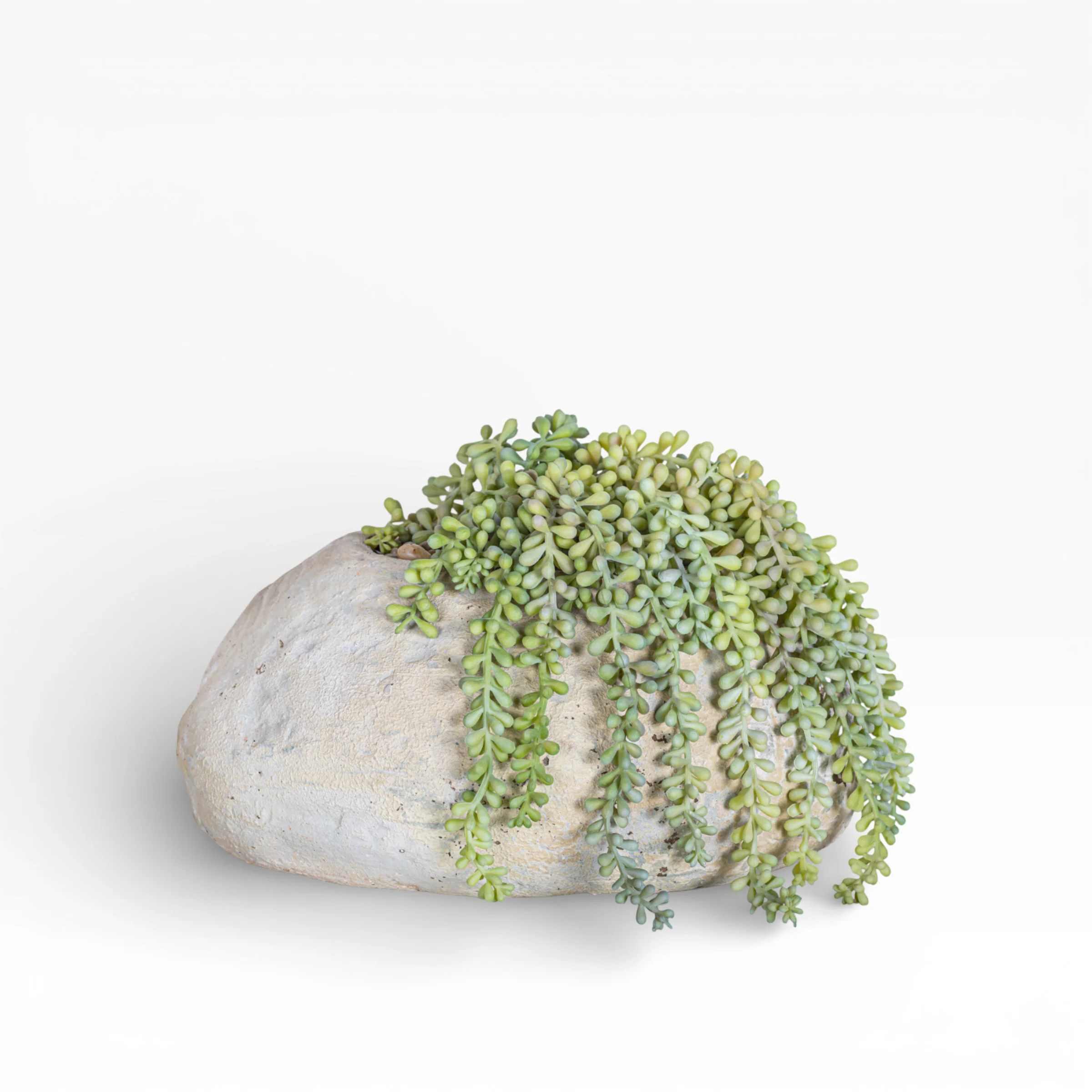 11" Skye Pot with Sedum Arrangement AR1457