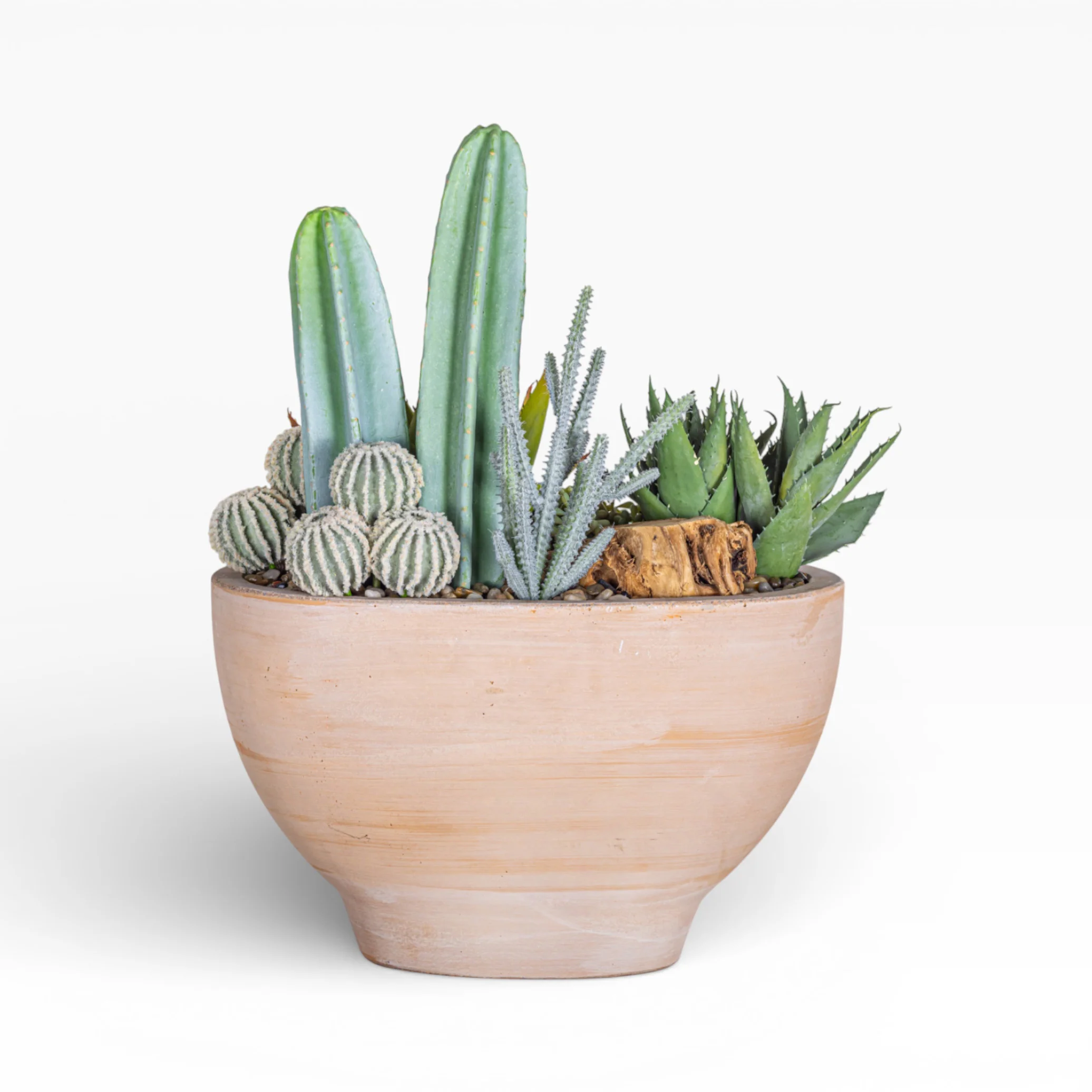 17" Maeve Bowl with Mixed Cactus Arrangement AR1472 - Image 2