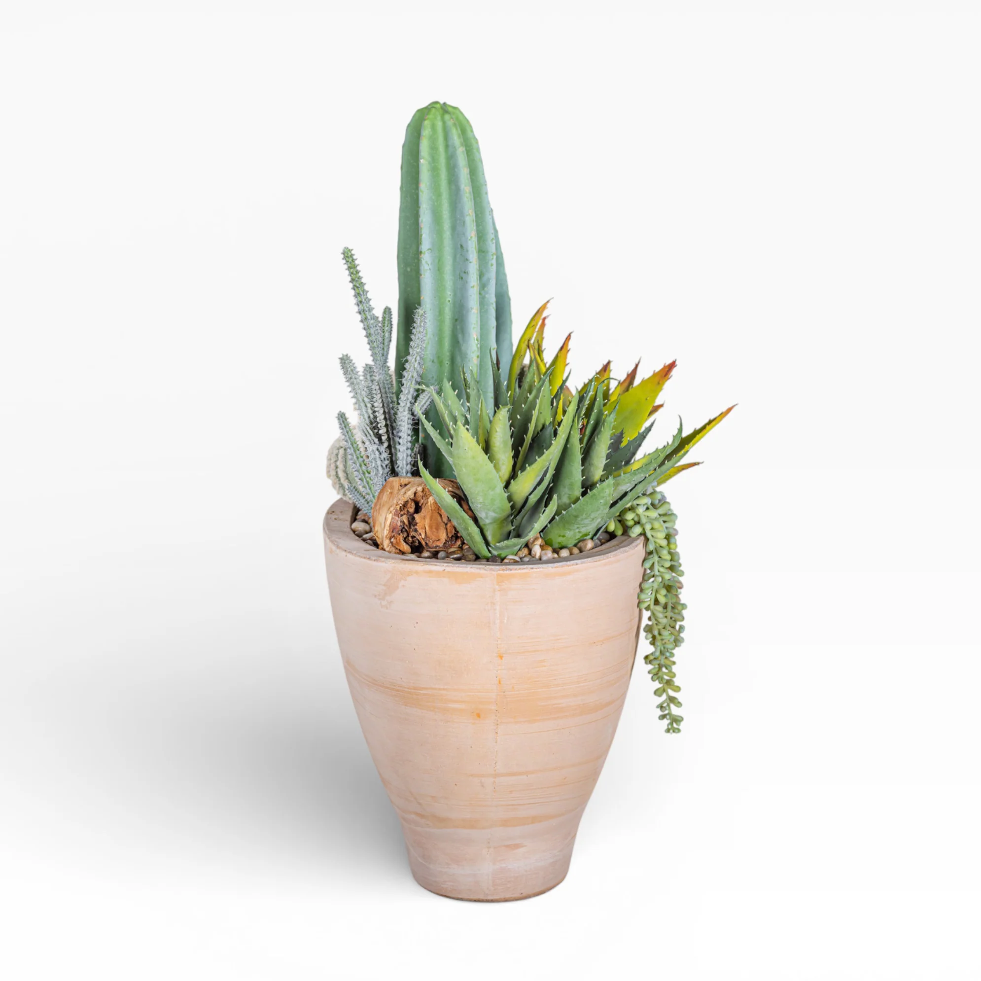 17" Maeve Bowl with Mixed Cactus Arrangement AR1472 - Image 4
