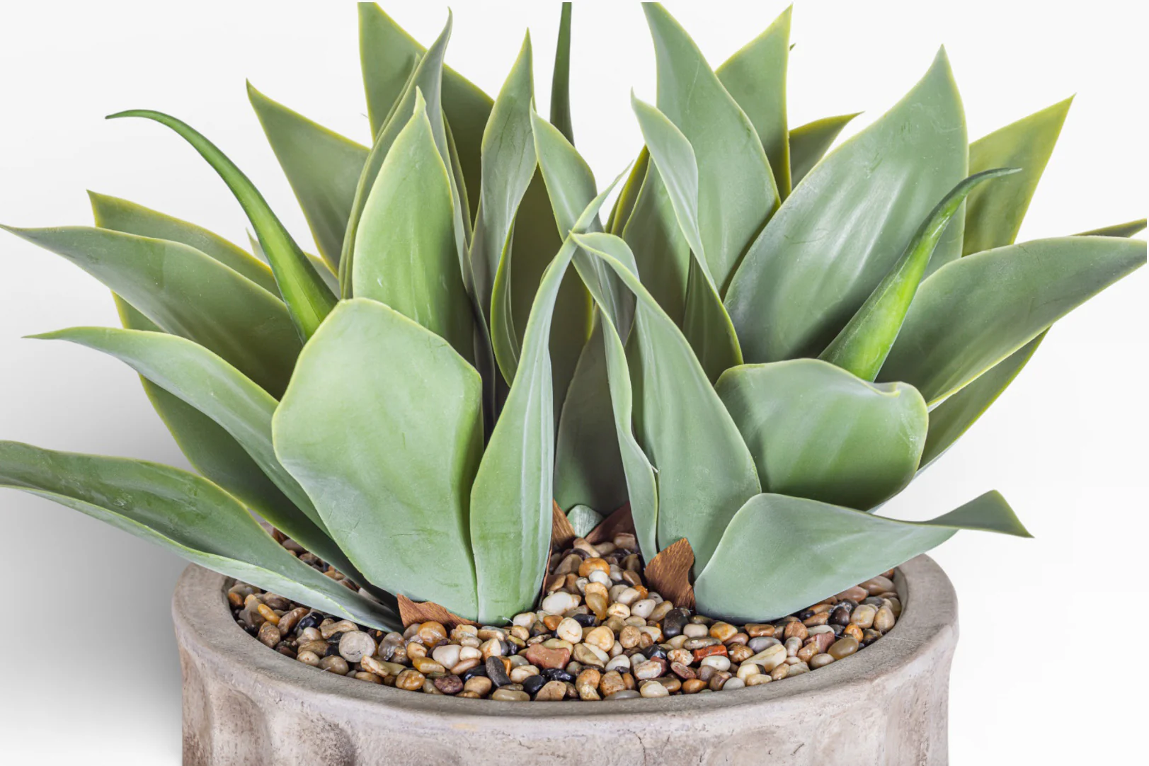 15" Verona Pot with Agave Arrangement AR1473 - Image 3