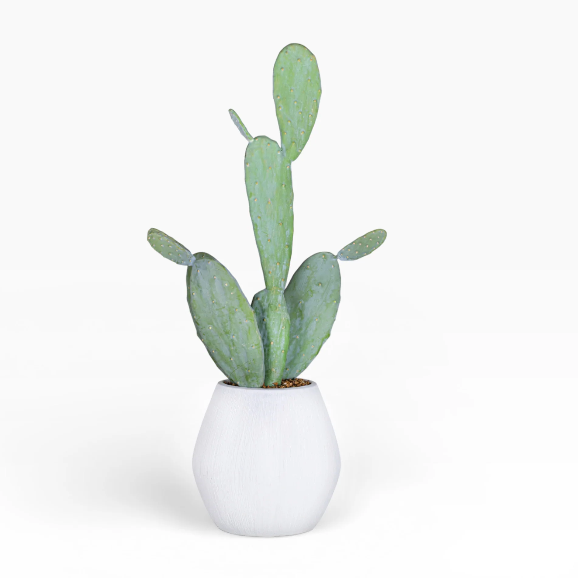 10" Ava Pot with Cactus Arrangement AR1510 - Image 2