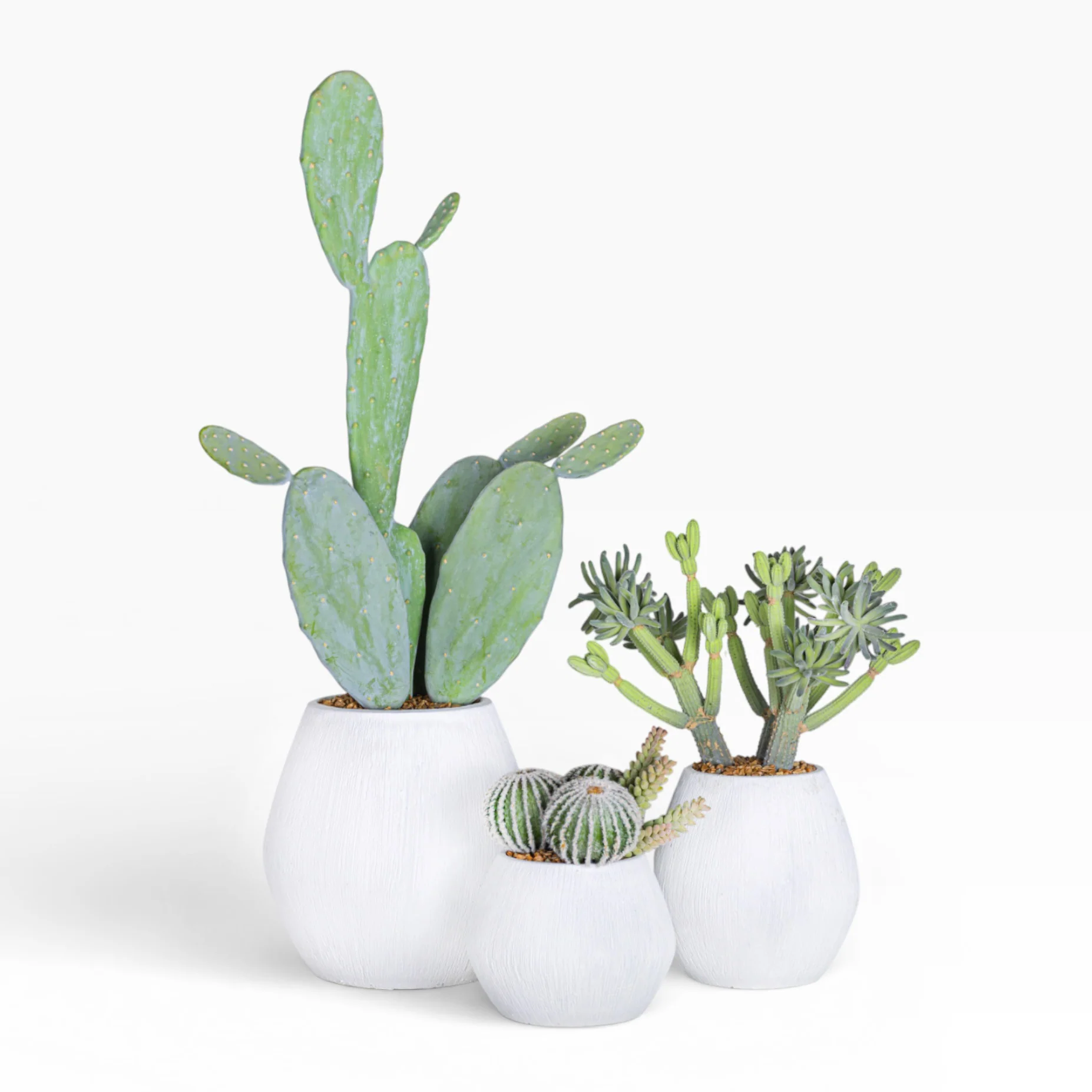 10" Ava Pot with Cactus Arrangement AR1510 - Image 4