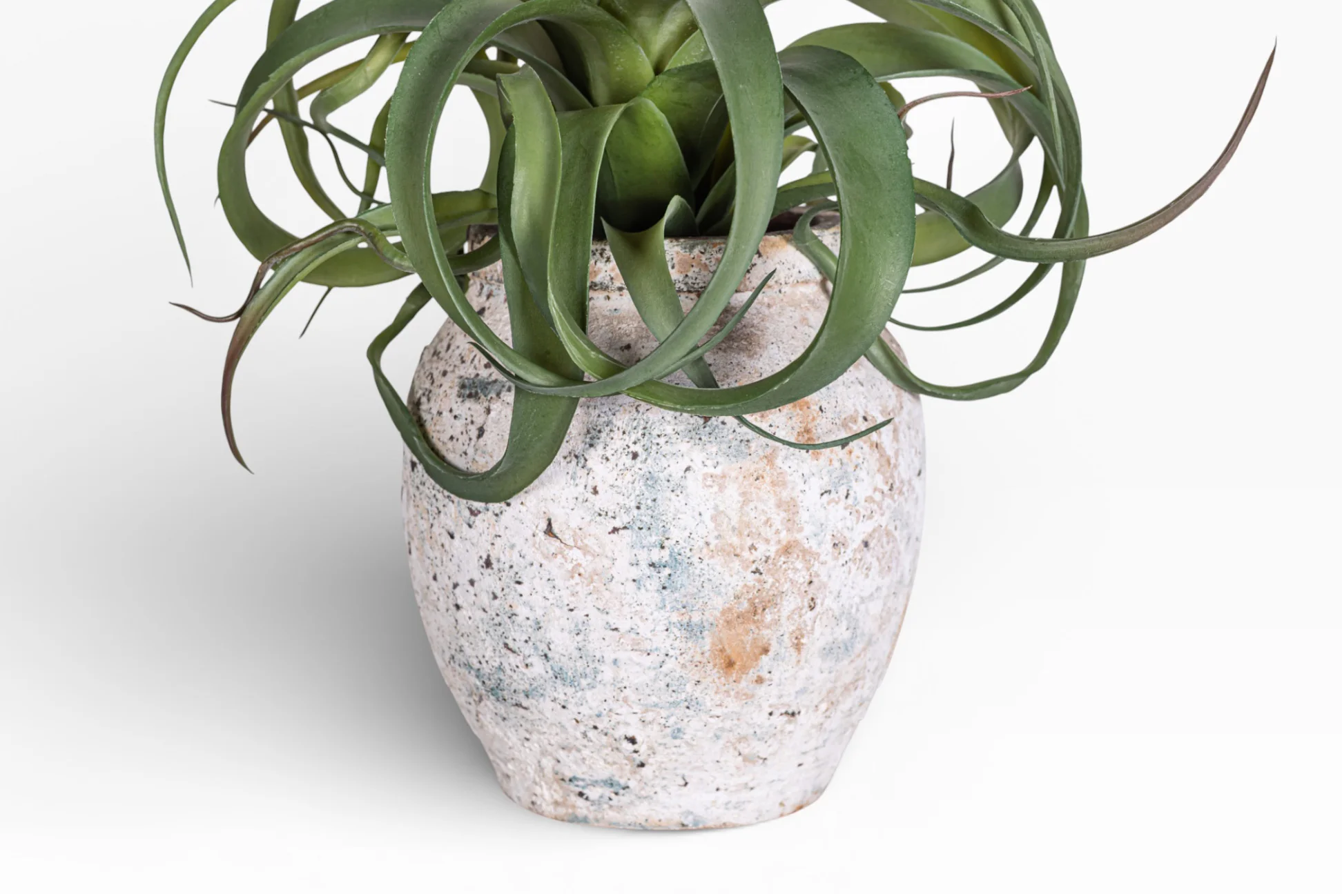 Lyric Pot with Airplant Arrangement AR1395 - Image 2