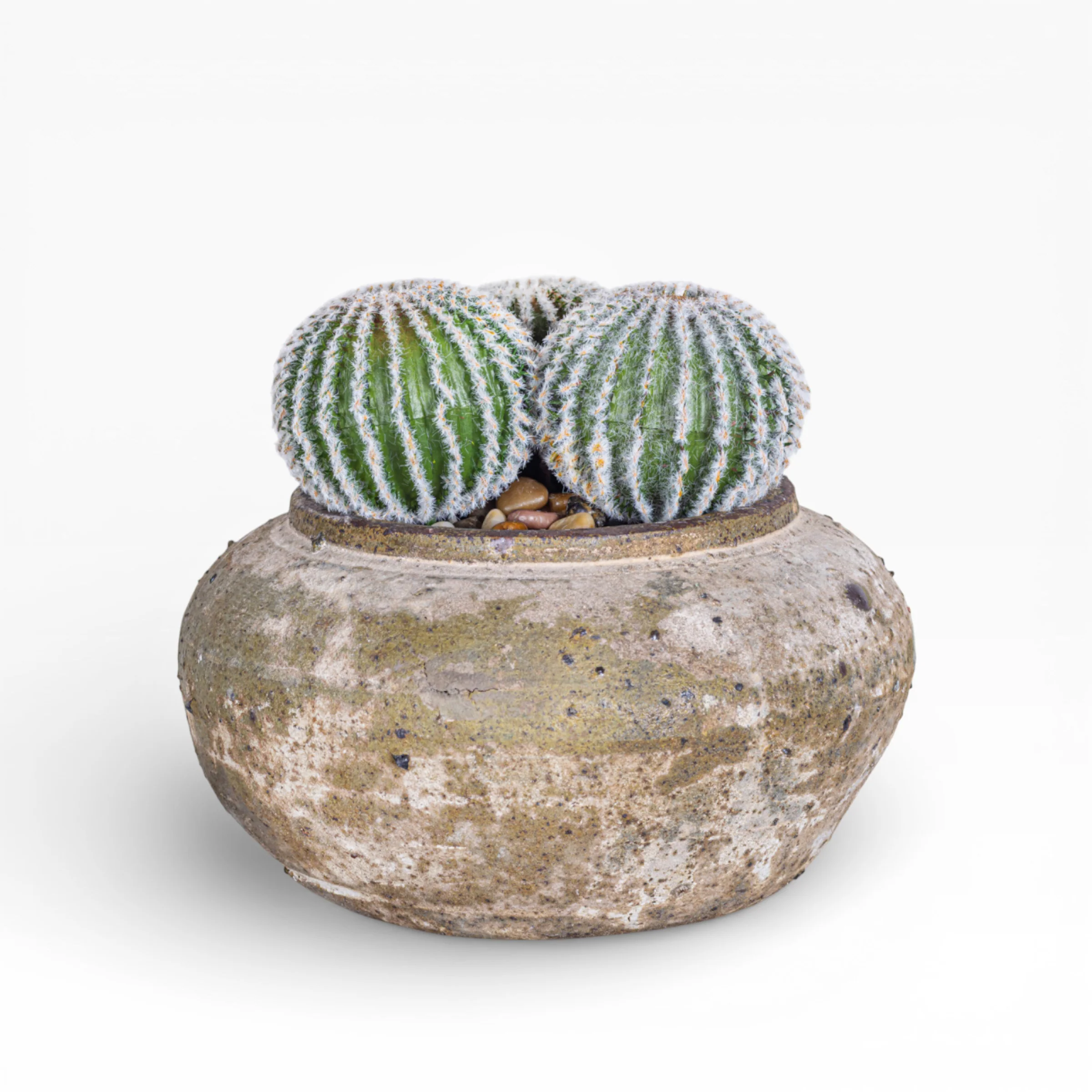 8" Esther Pot with Cactus Arrangement AR1405