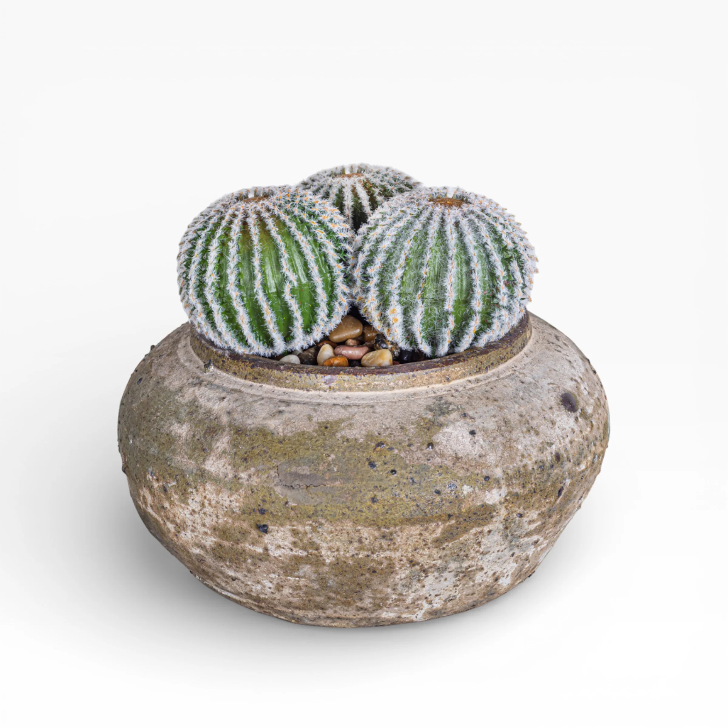 8" Esther Pot with Cactus Arrangement AR1405 - Image 2