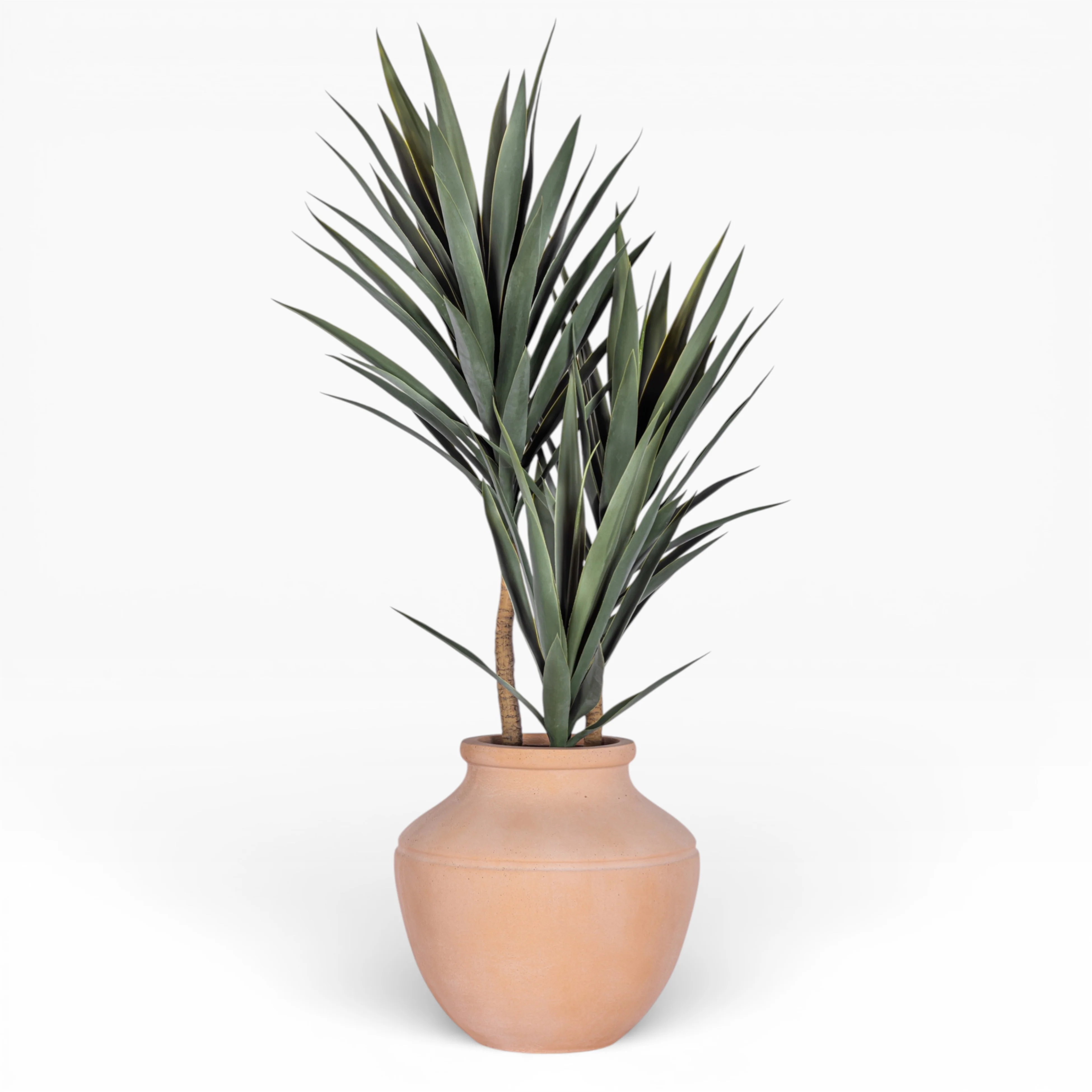 Nolan Terracotta Planter CN1513 - Image 4