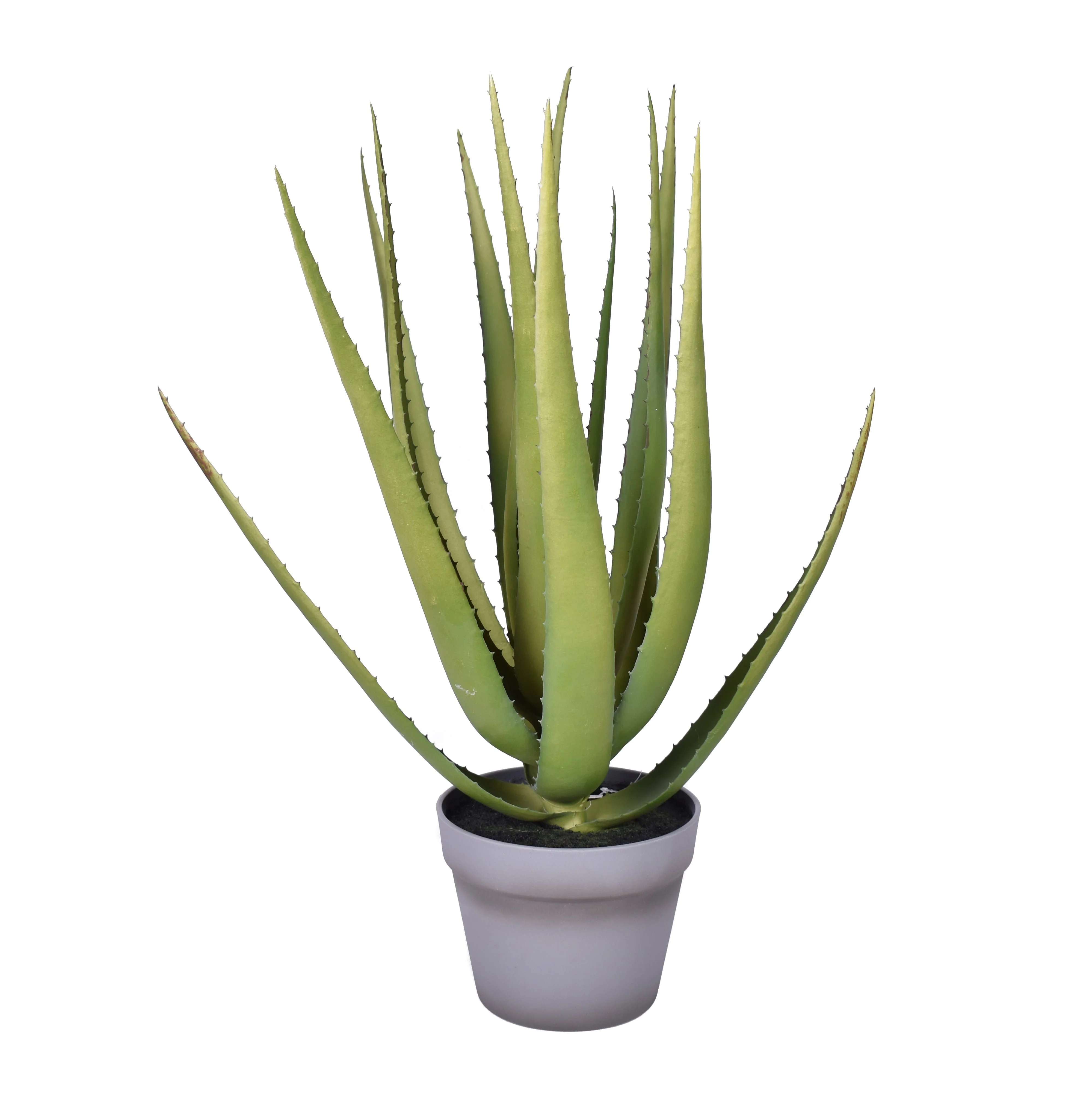 23" Aloe Plant - UV Treated PP1046