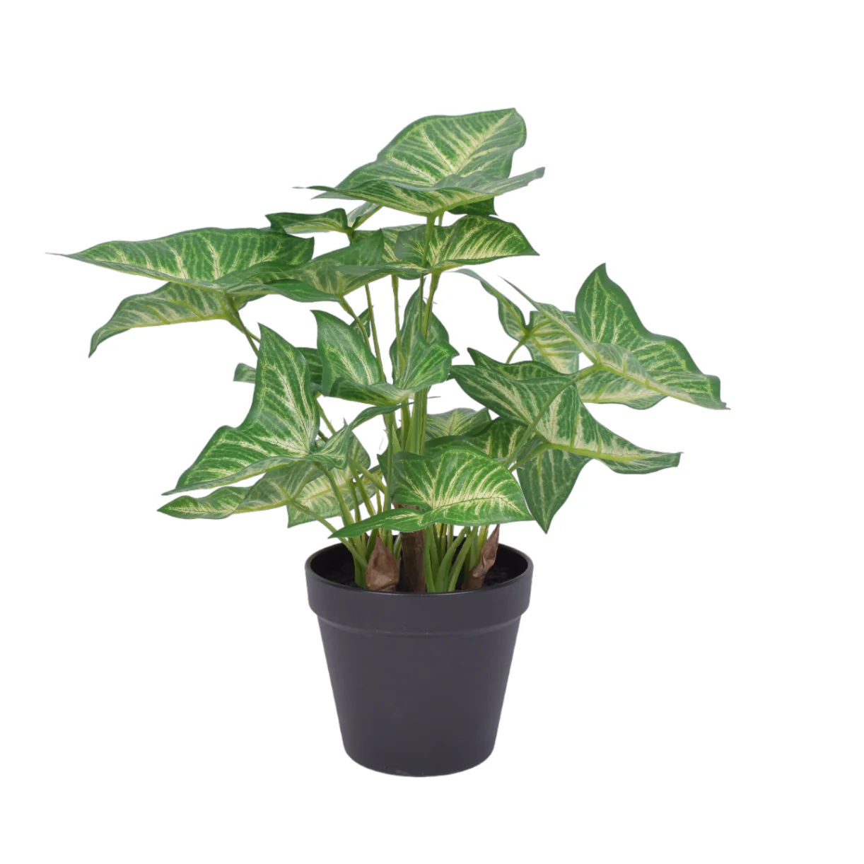 13" Potted Anthura Bush - UV Treated PP1048