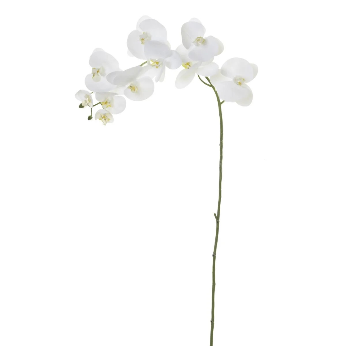45” Phalaenopsis Orchid - White   FL1022