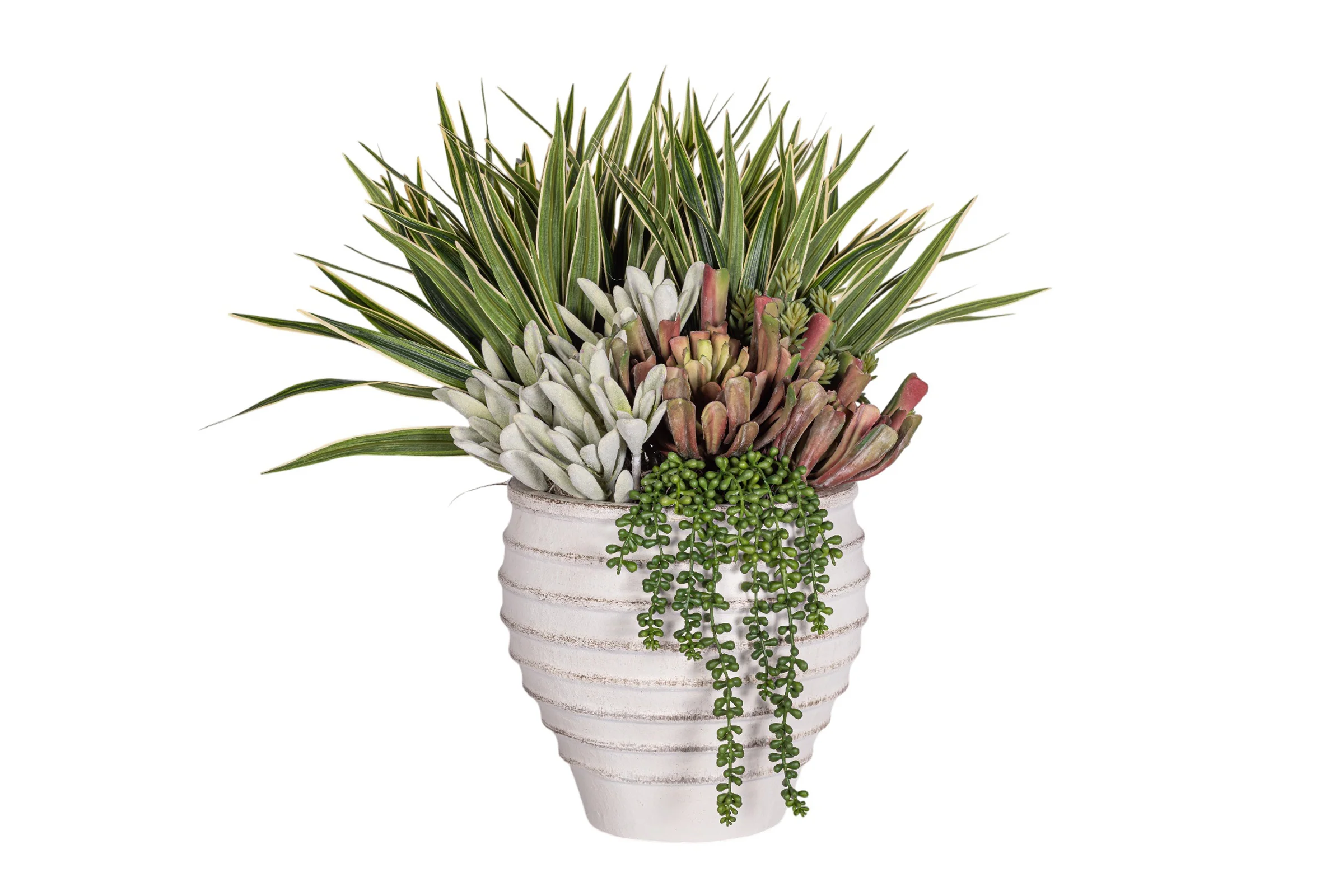 Roma Pot with Succulent Arrangement AR1959 - Image 2