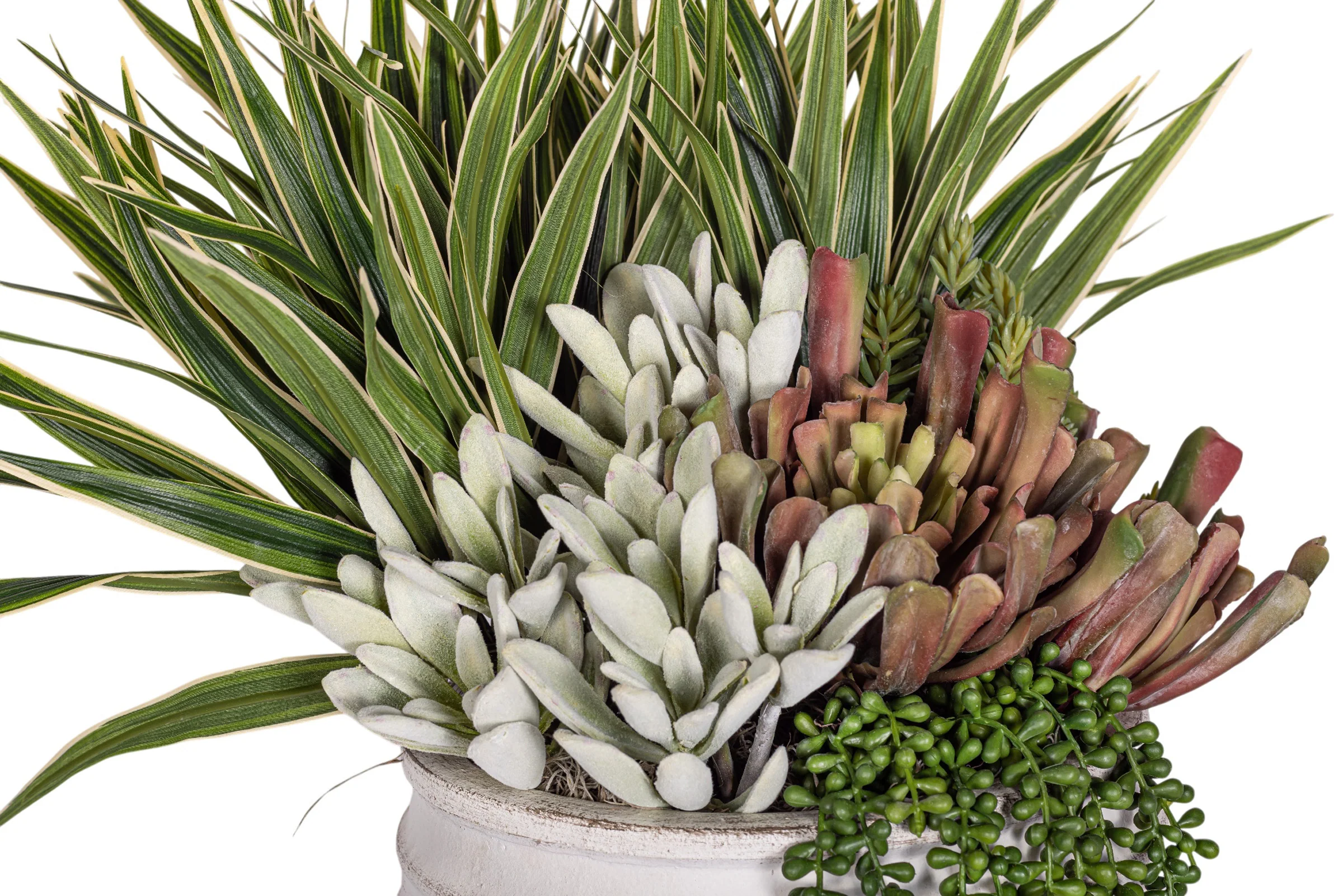 Roma Pot with Succulent Arrangement AR1959 - Image 4