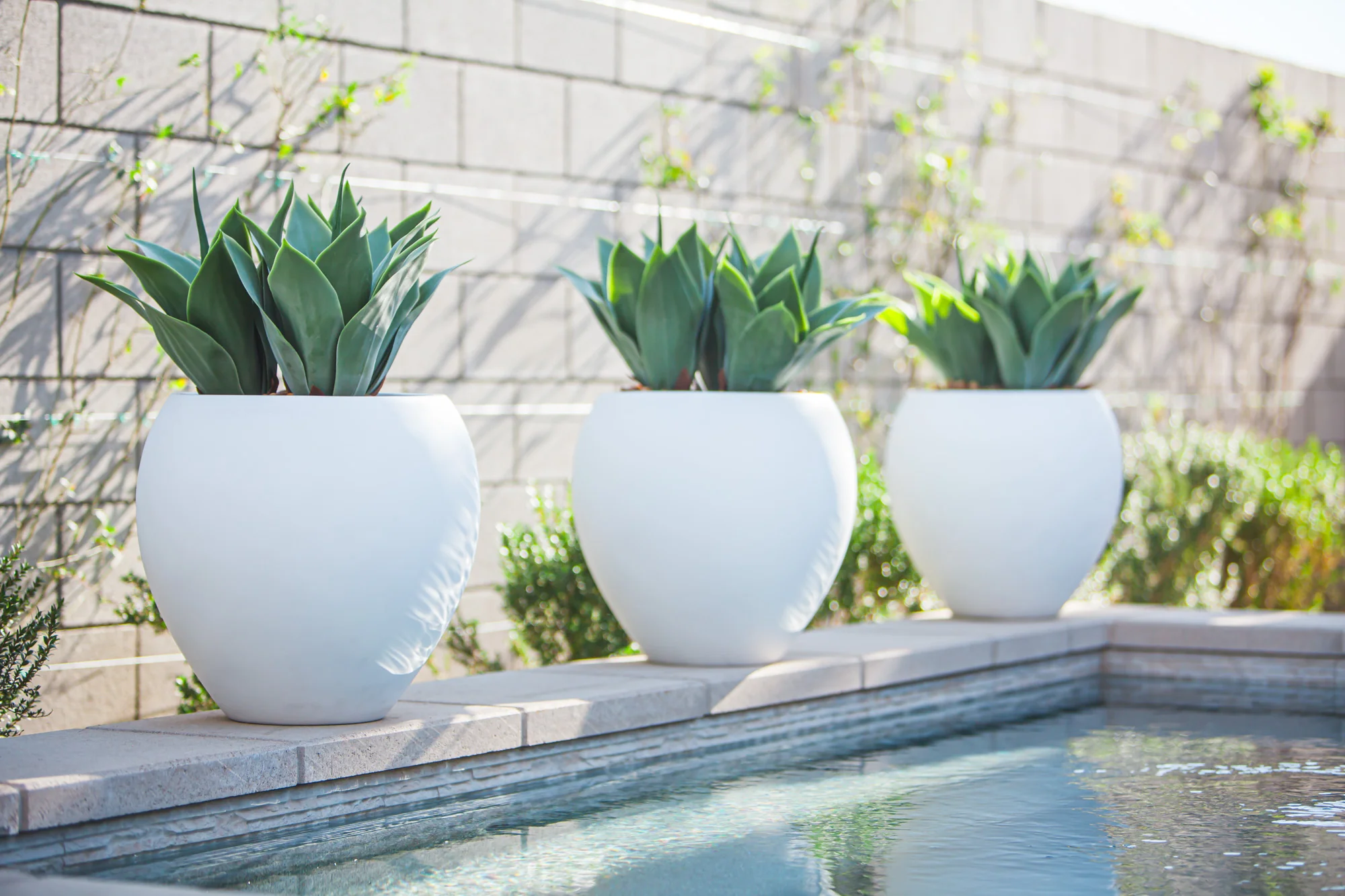 Rotondo Planter Collection-White    CN1256 - Image 3