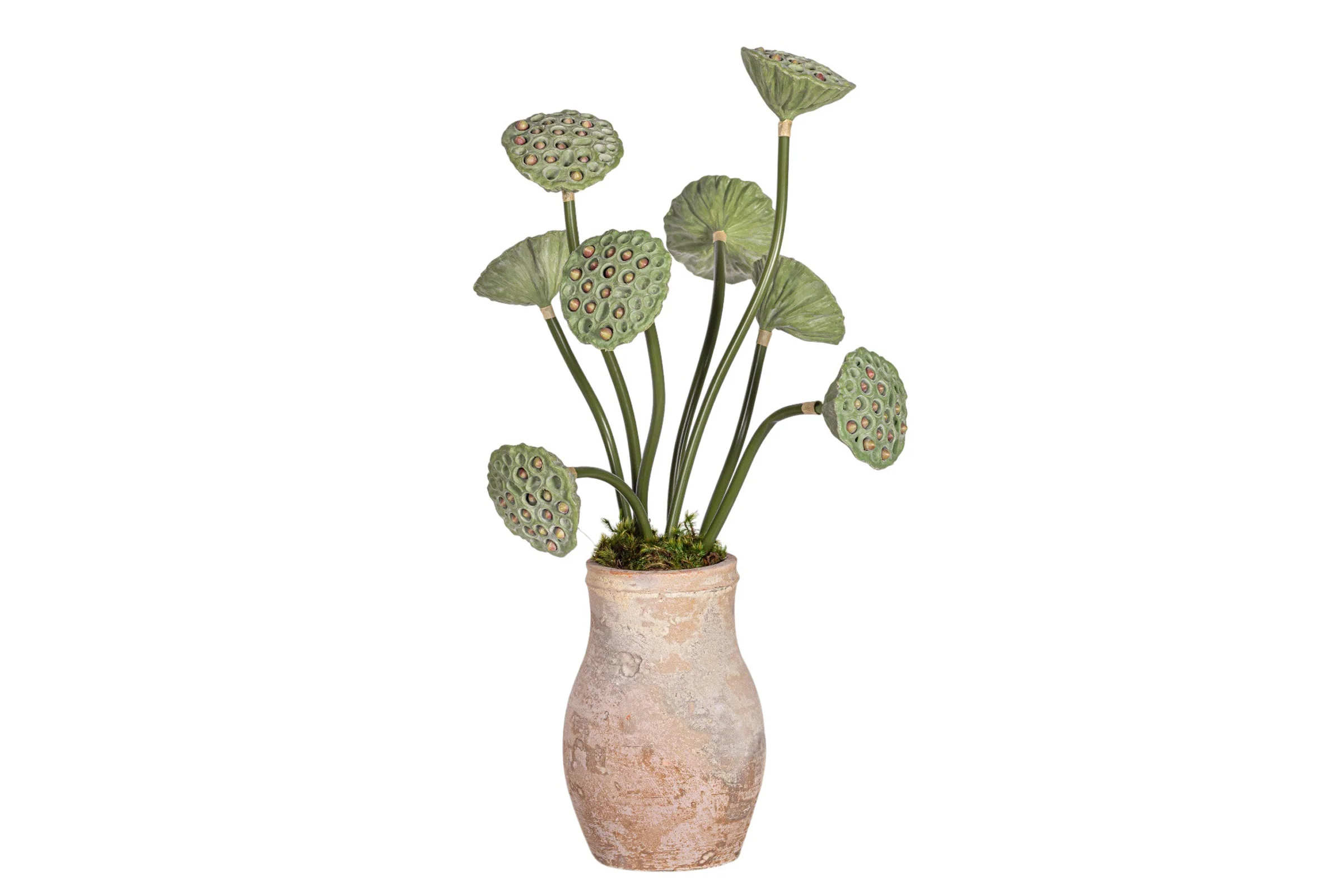 Rue Vase with Lotus Seed Arrangement AR1963 - Image 2