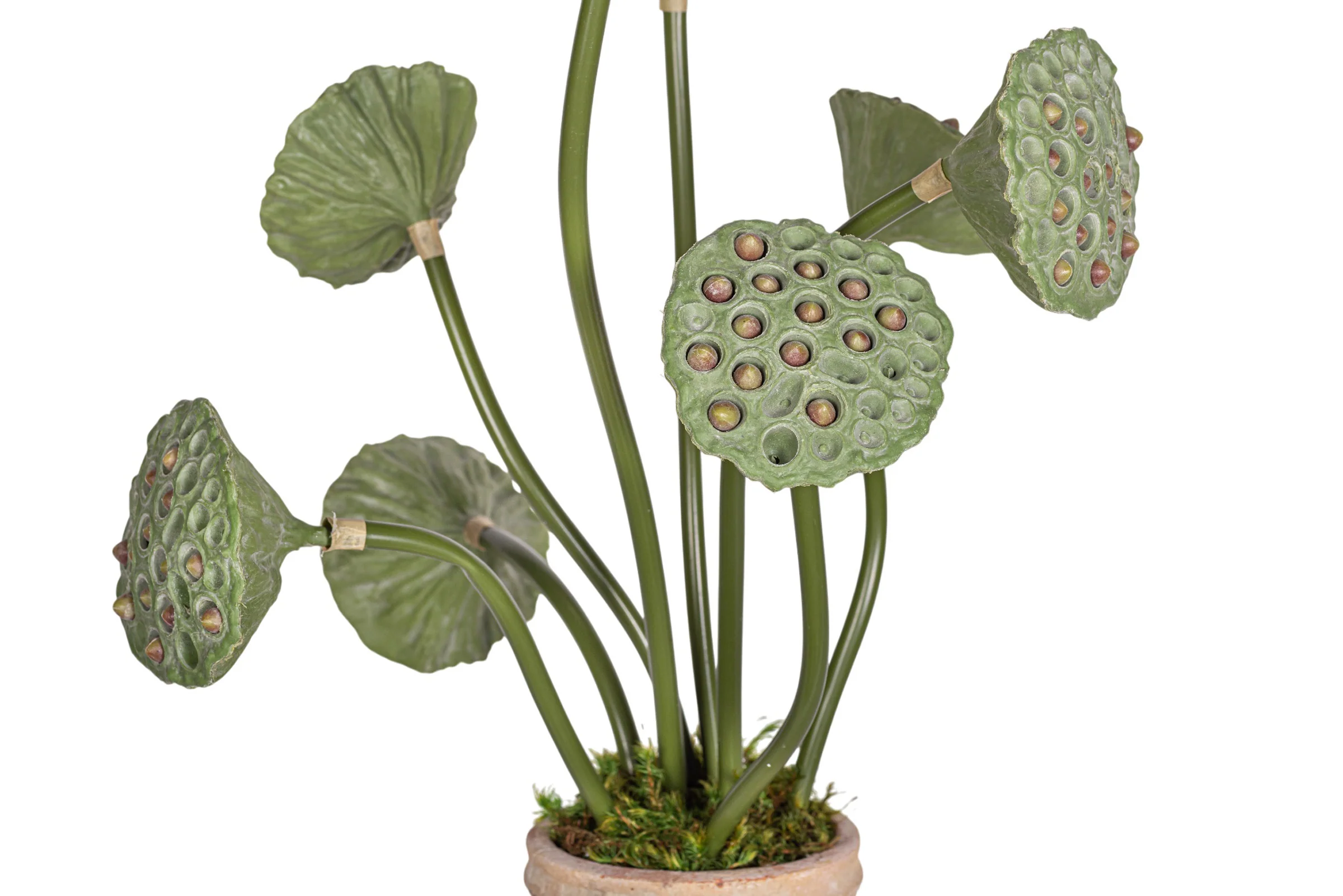 Rue Vase with Lotus Seed Arrangement AR1963 - Image 3