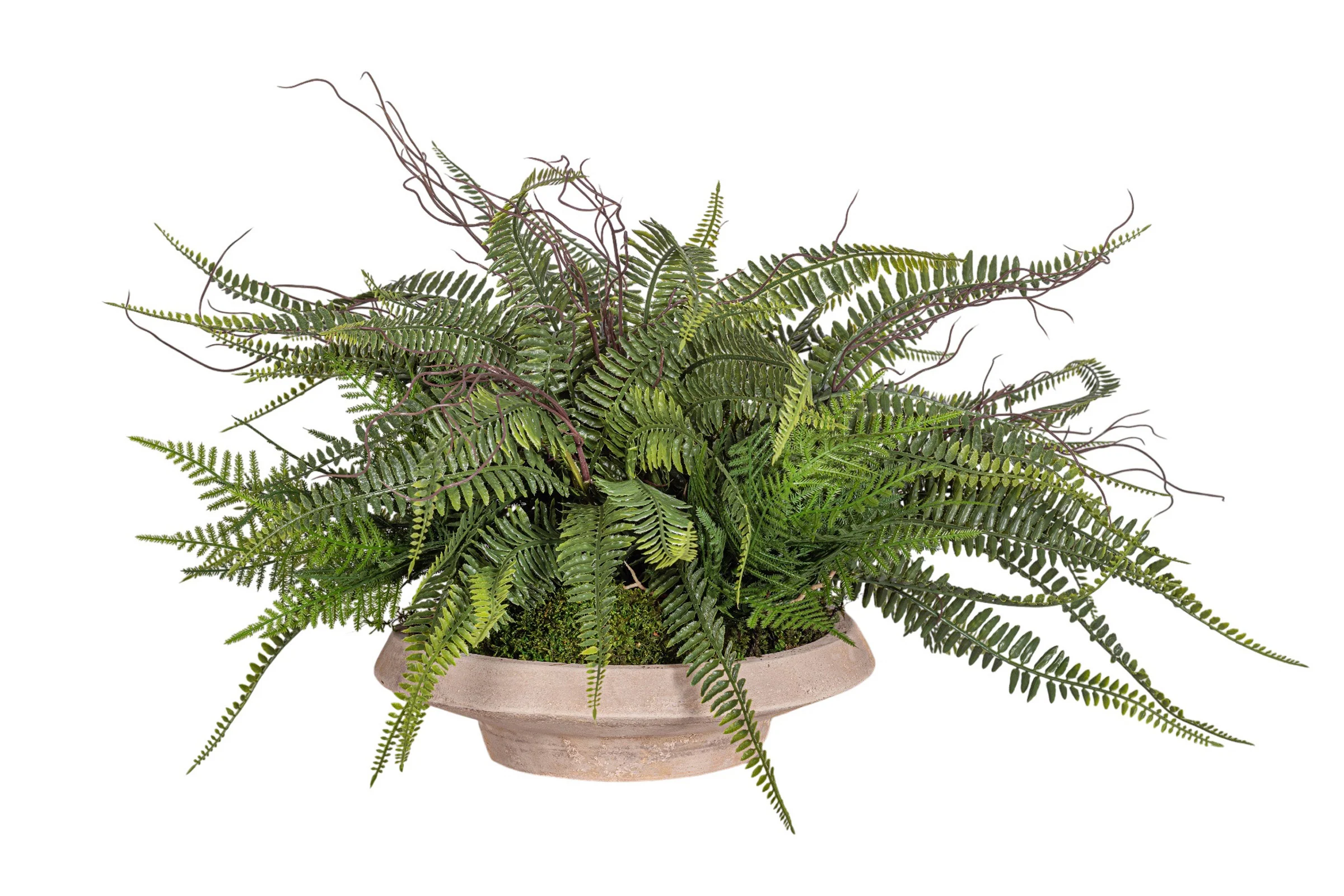 Sayulita Saucer with UV Treated Fern Arrangement AR1969UV - Image 3