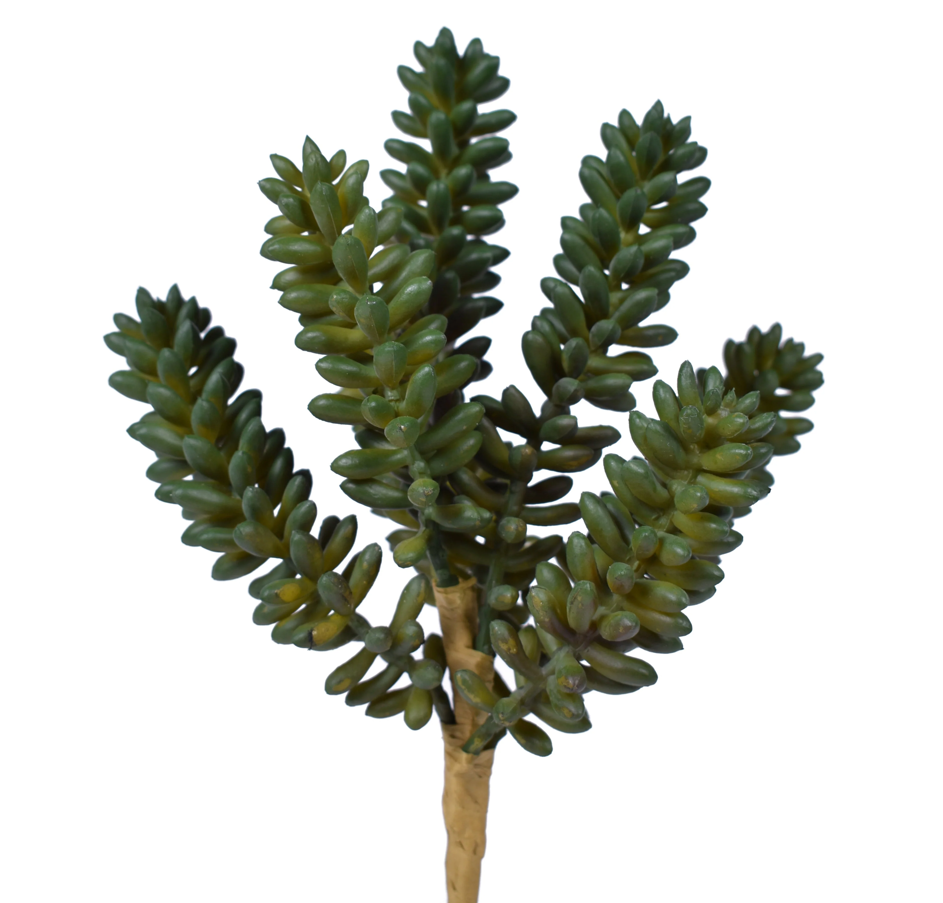 8" Sedum Pick - UV Treated SE1031UV