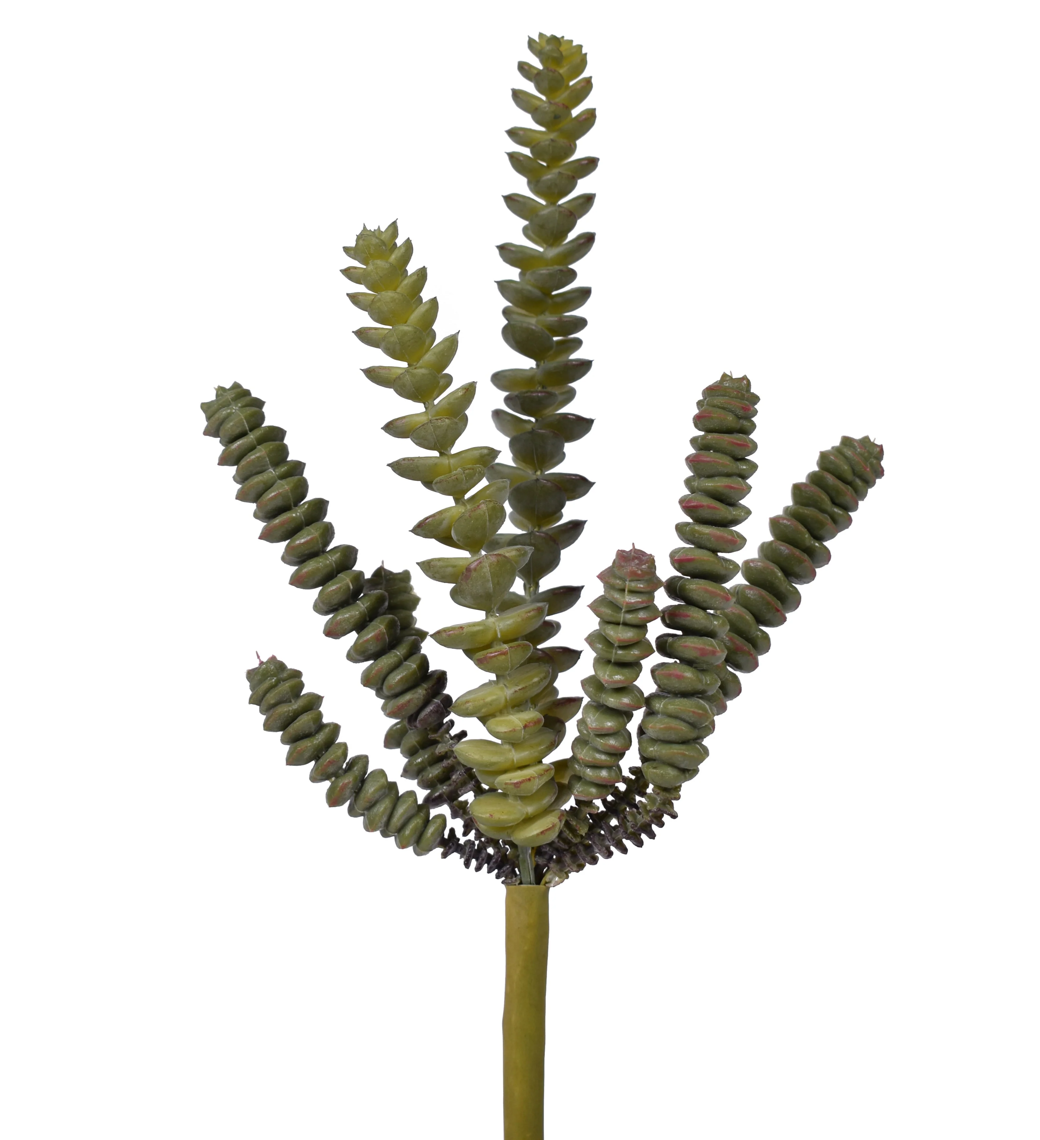 11" Sedum Pick - UV Treated SE1032UV